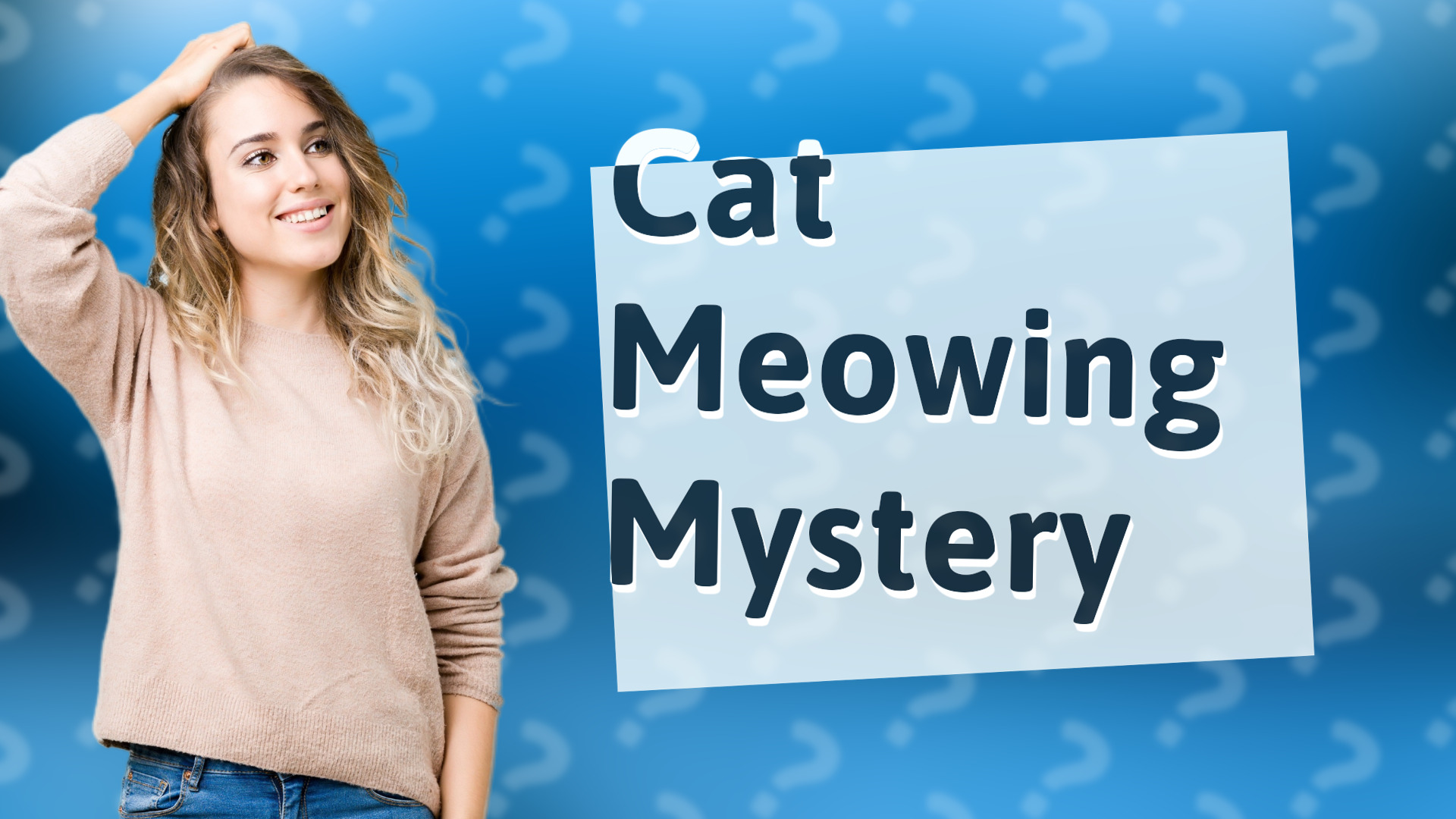Cat Meowing Mystery
