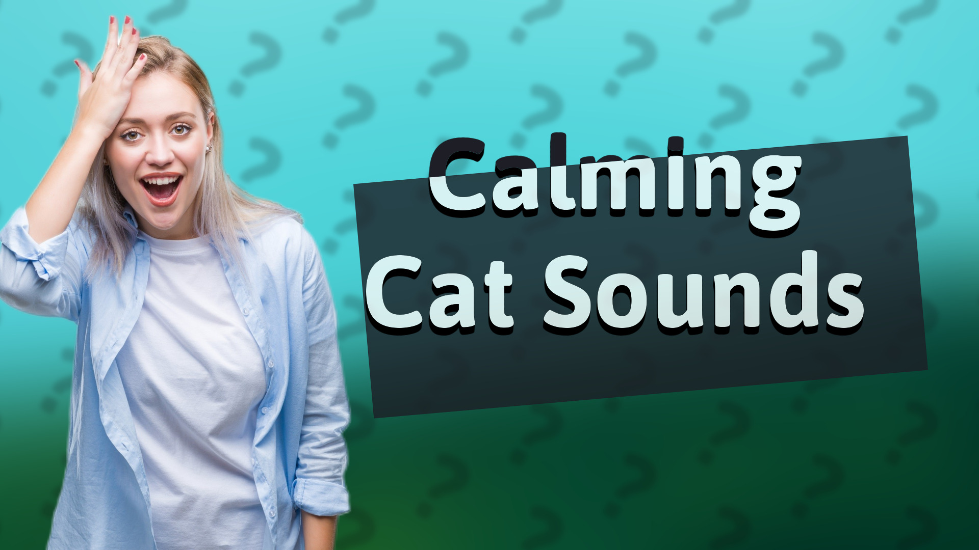 Calming Cat Sounds