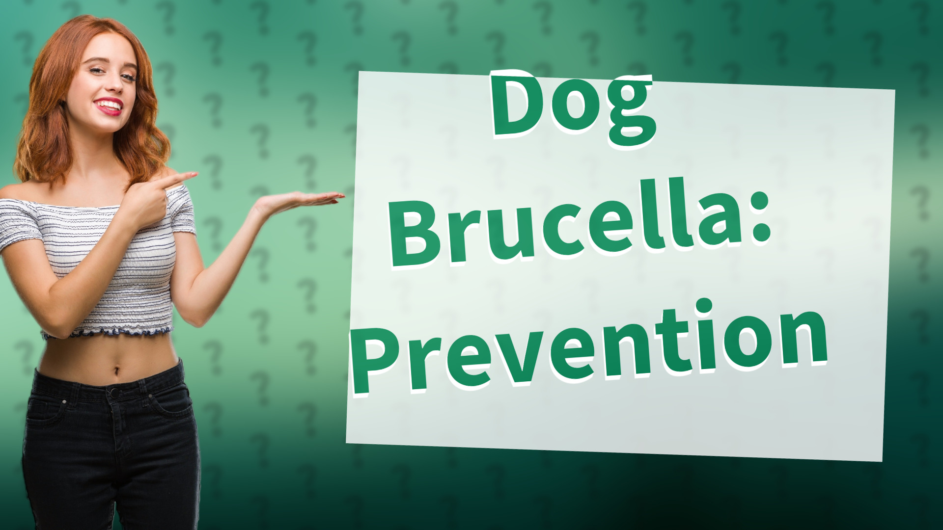 Dog Brucella: Prevention