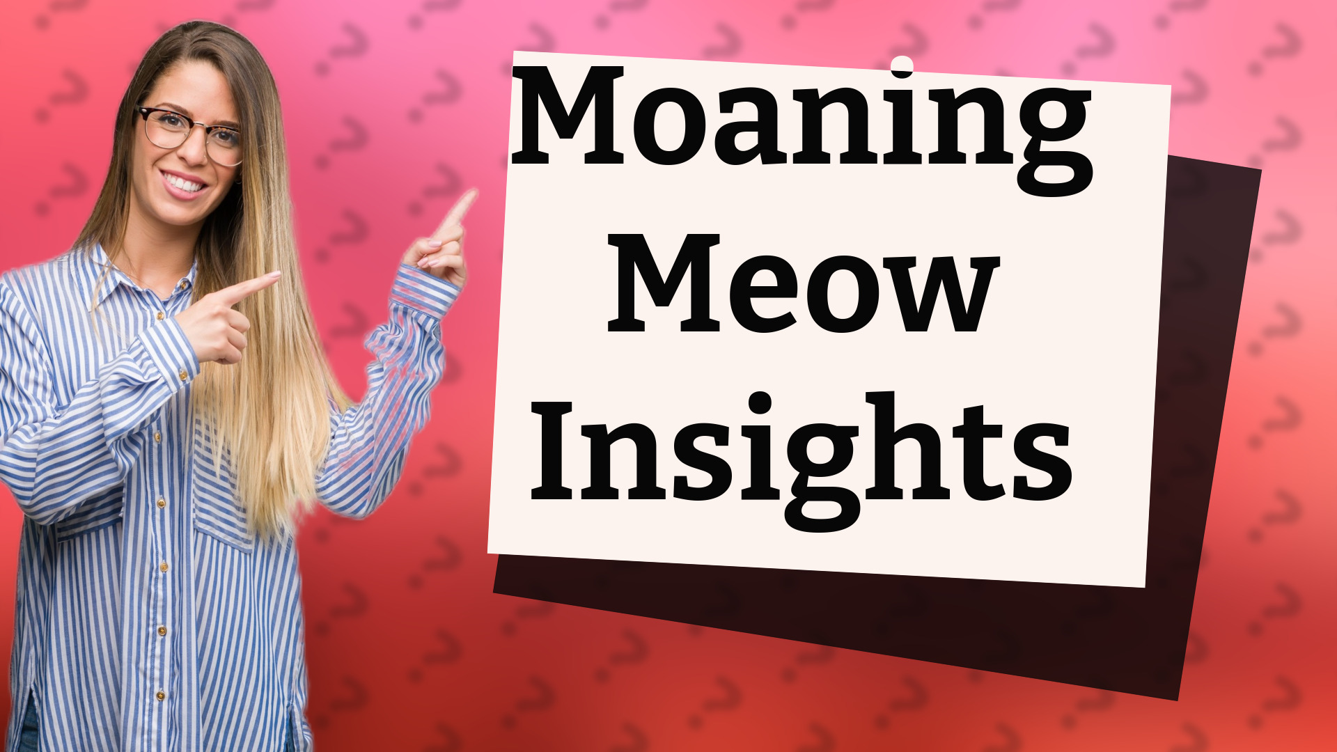 Moaning Meow Insights