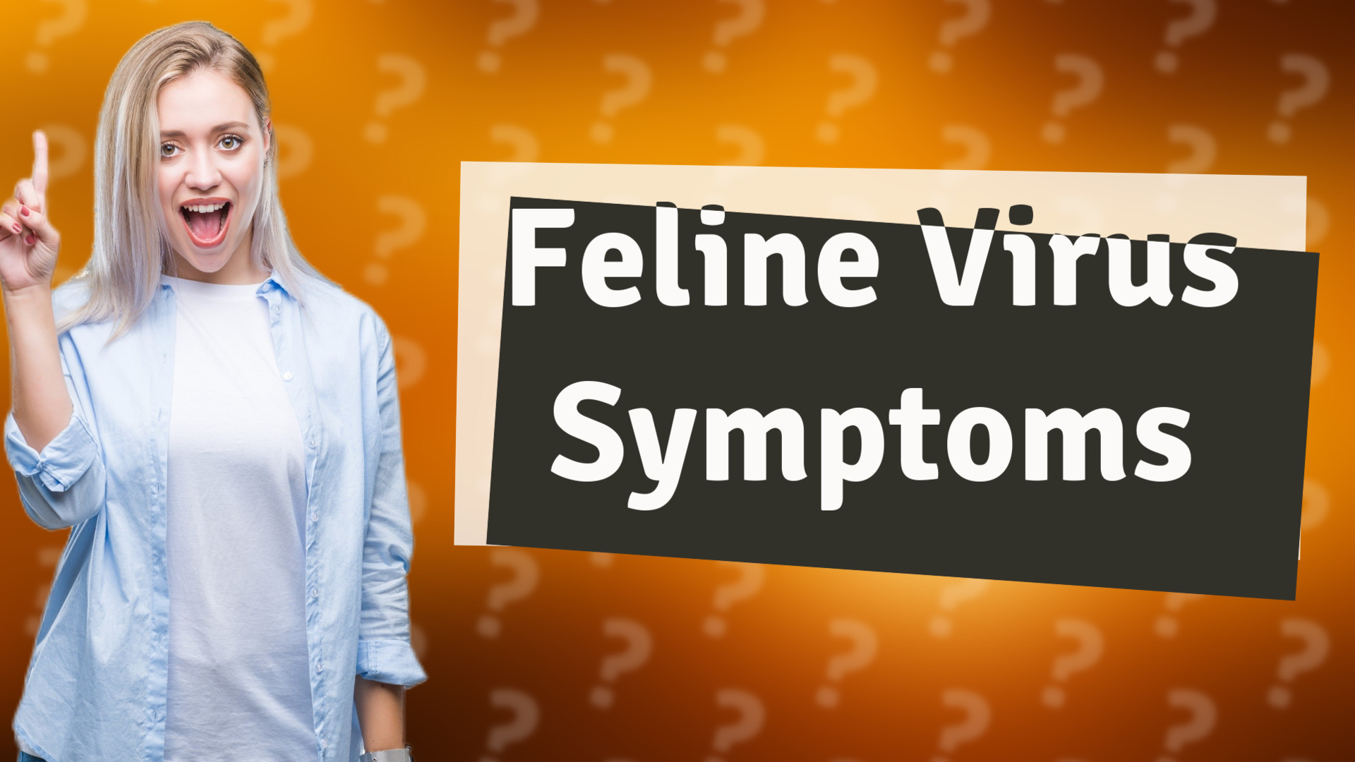 Feline Virus Symptoms