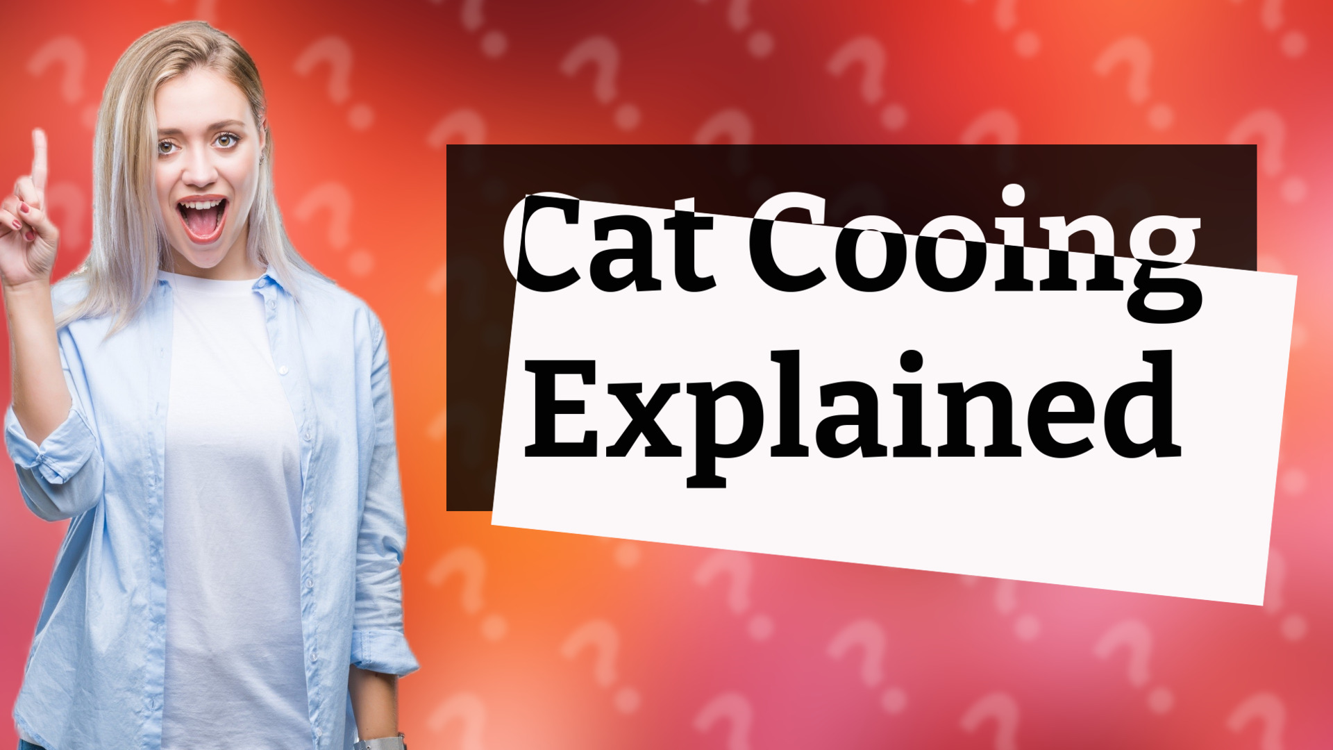 Cat Cooing Explained