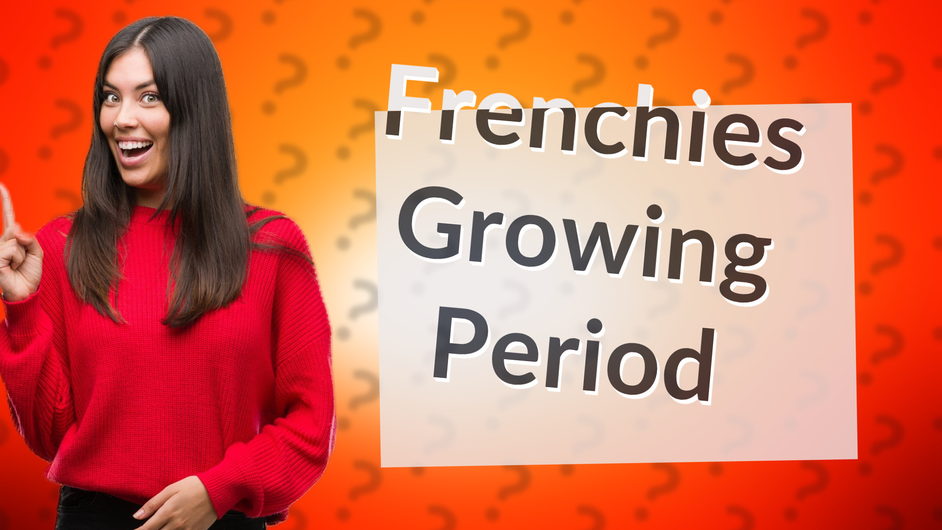 Frenchies Growing Period