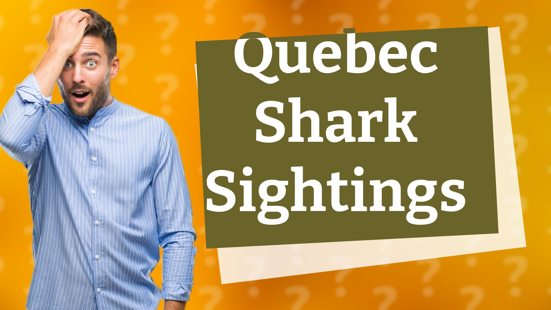 Quebec Shark Sightings