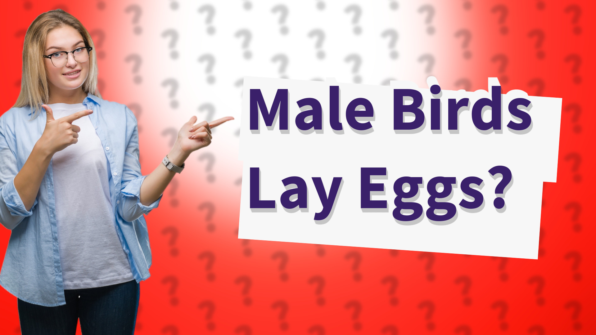 Male Birds Lay Eggs?