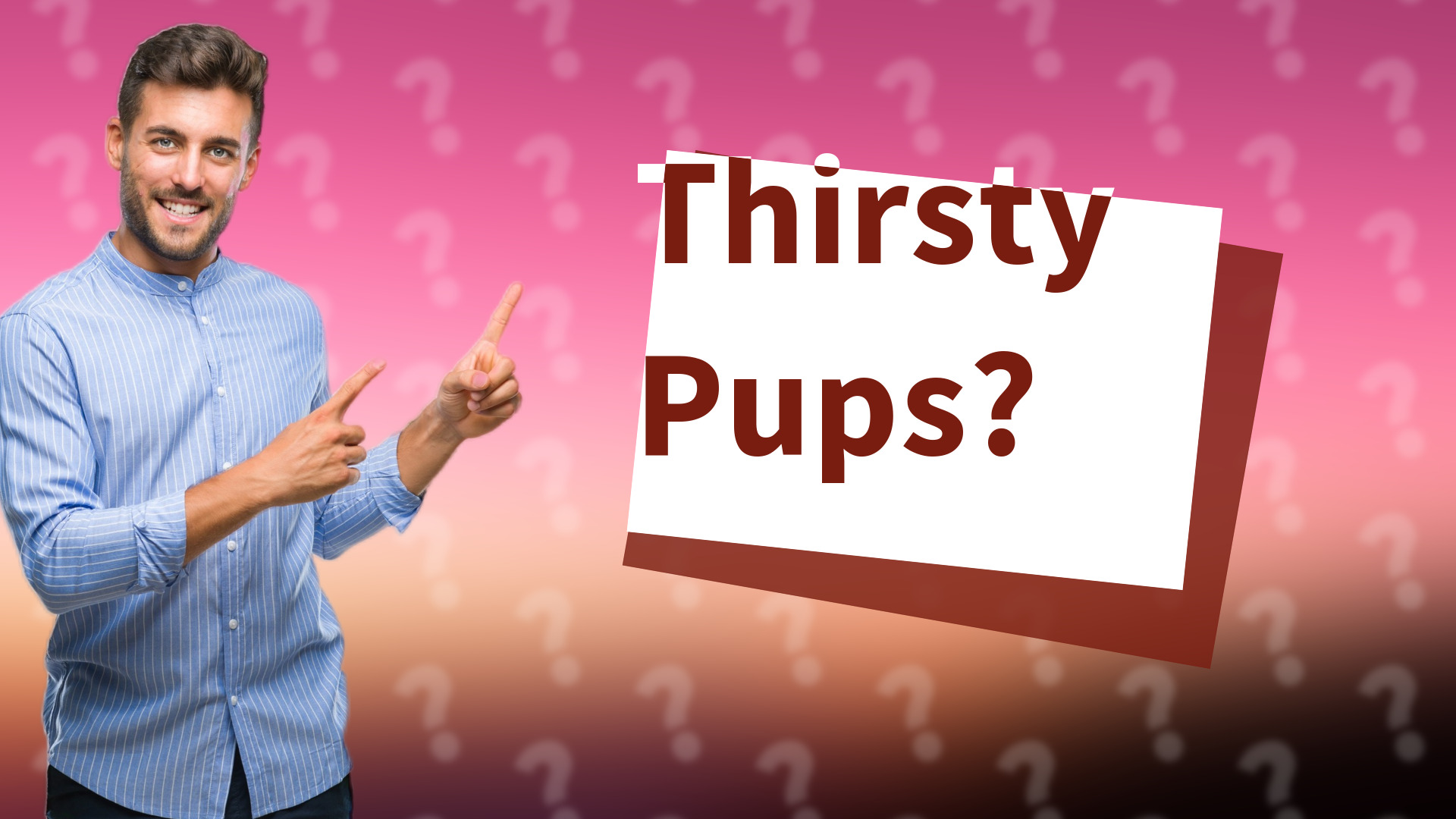 Thirsty Pups?