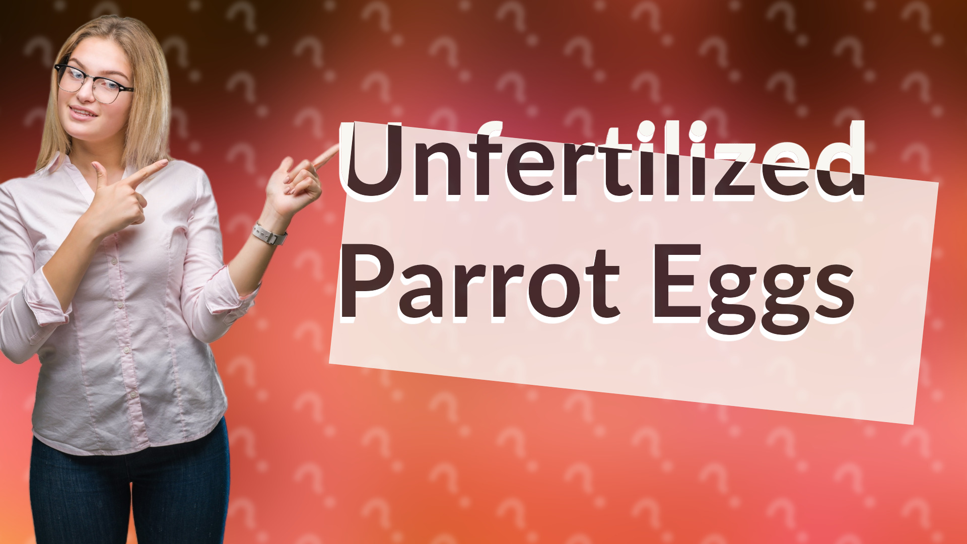 Unfertilized Parrot Eggs