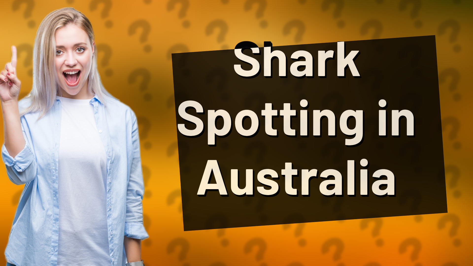 Shark Spotting in Australia