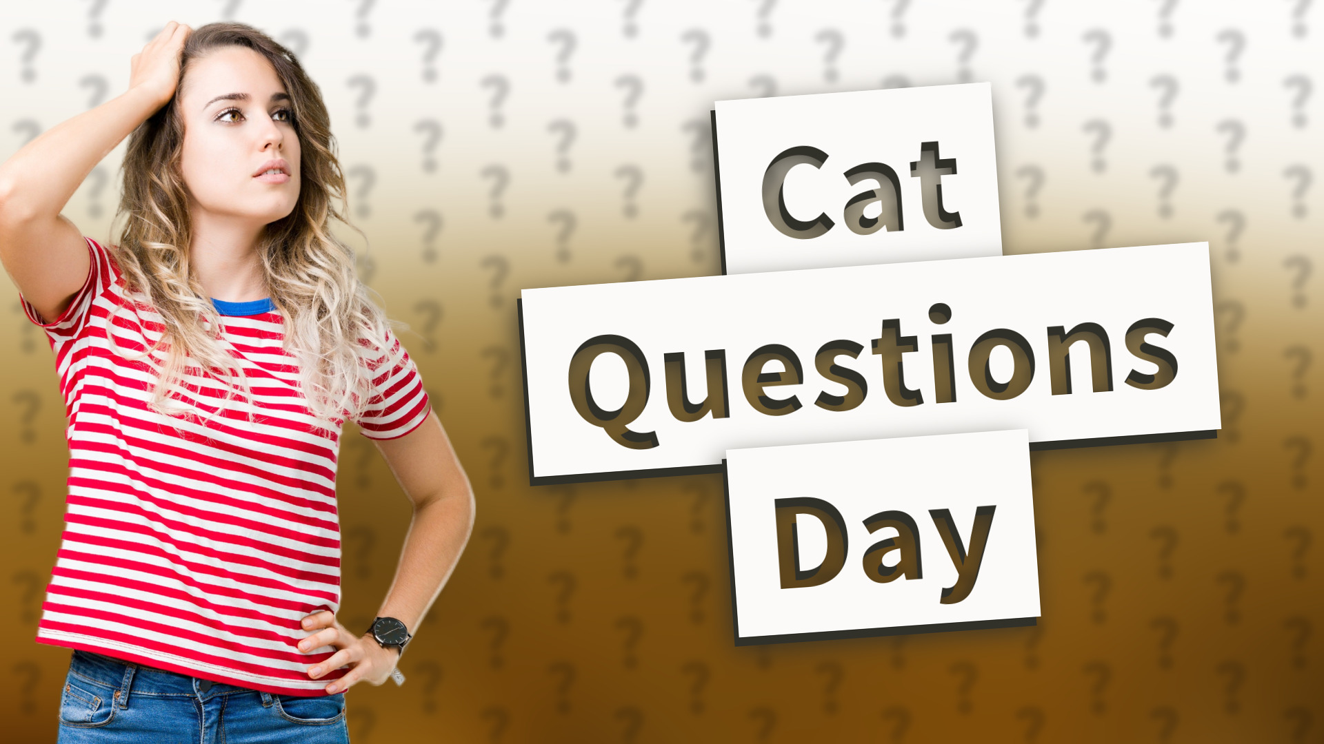 Cat Questions Day