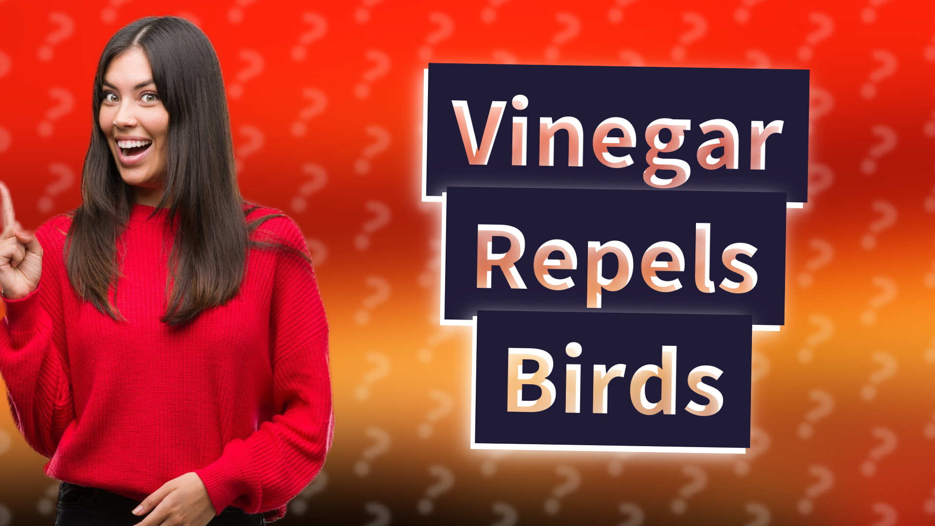 Vinegar Repels Birds