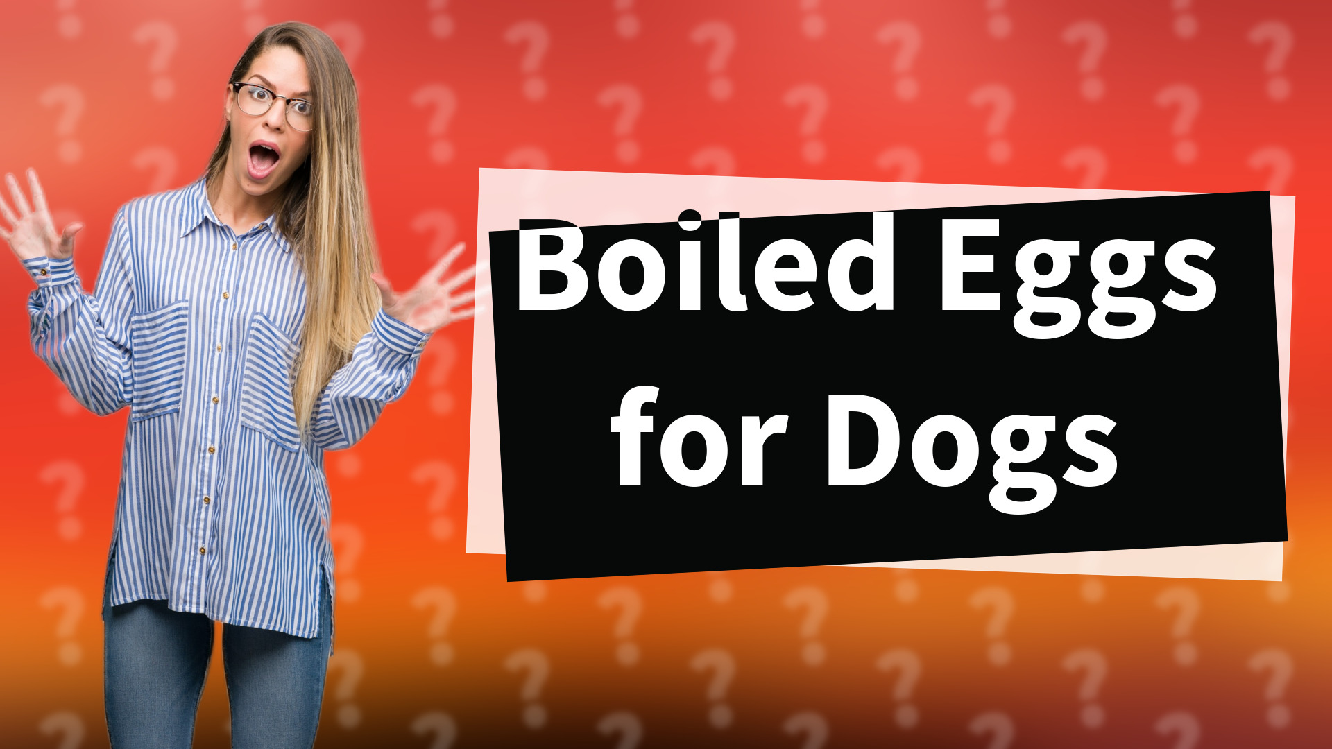 Boiled Eggs for Dogs