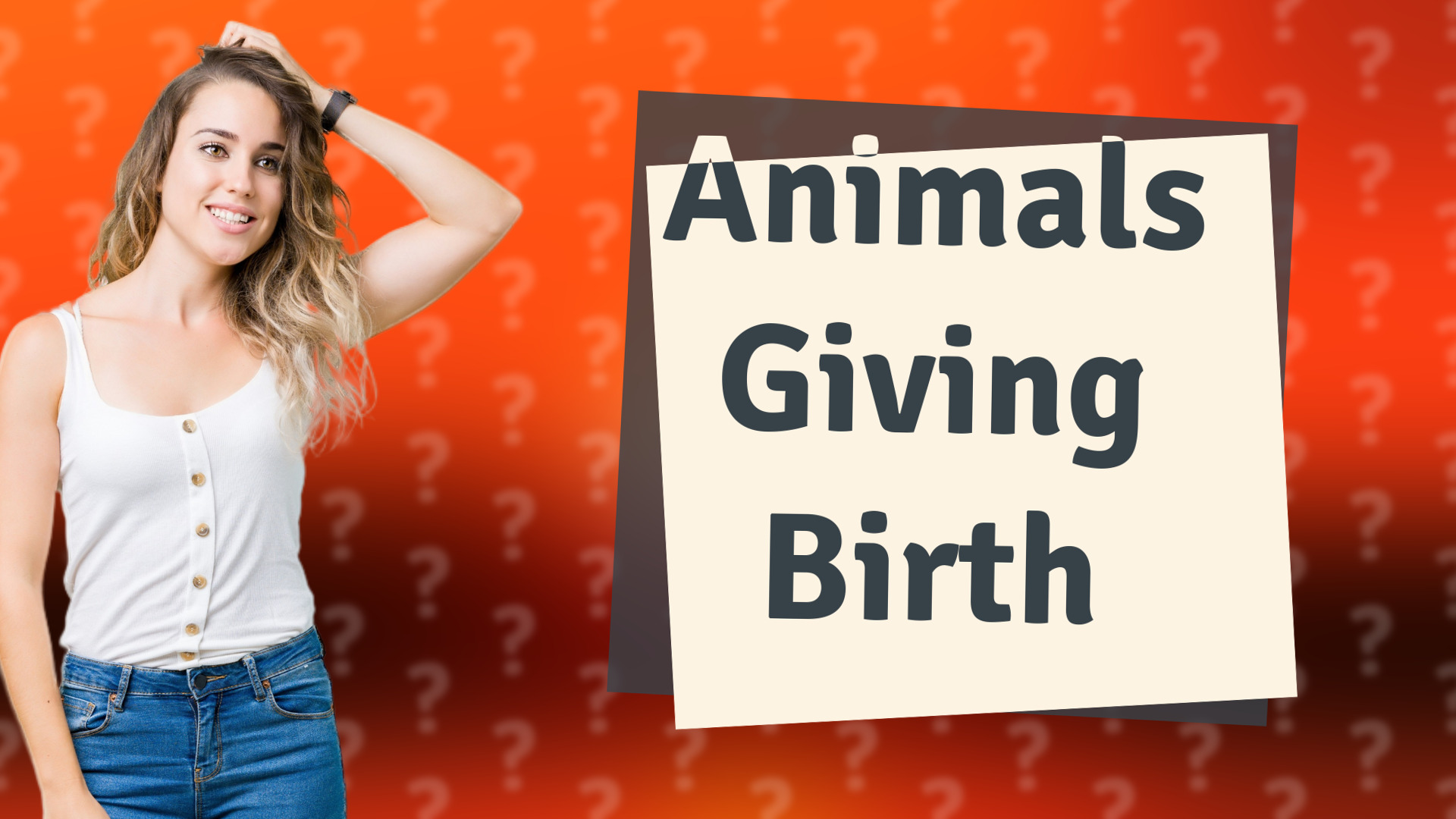 Animals Giving Birth