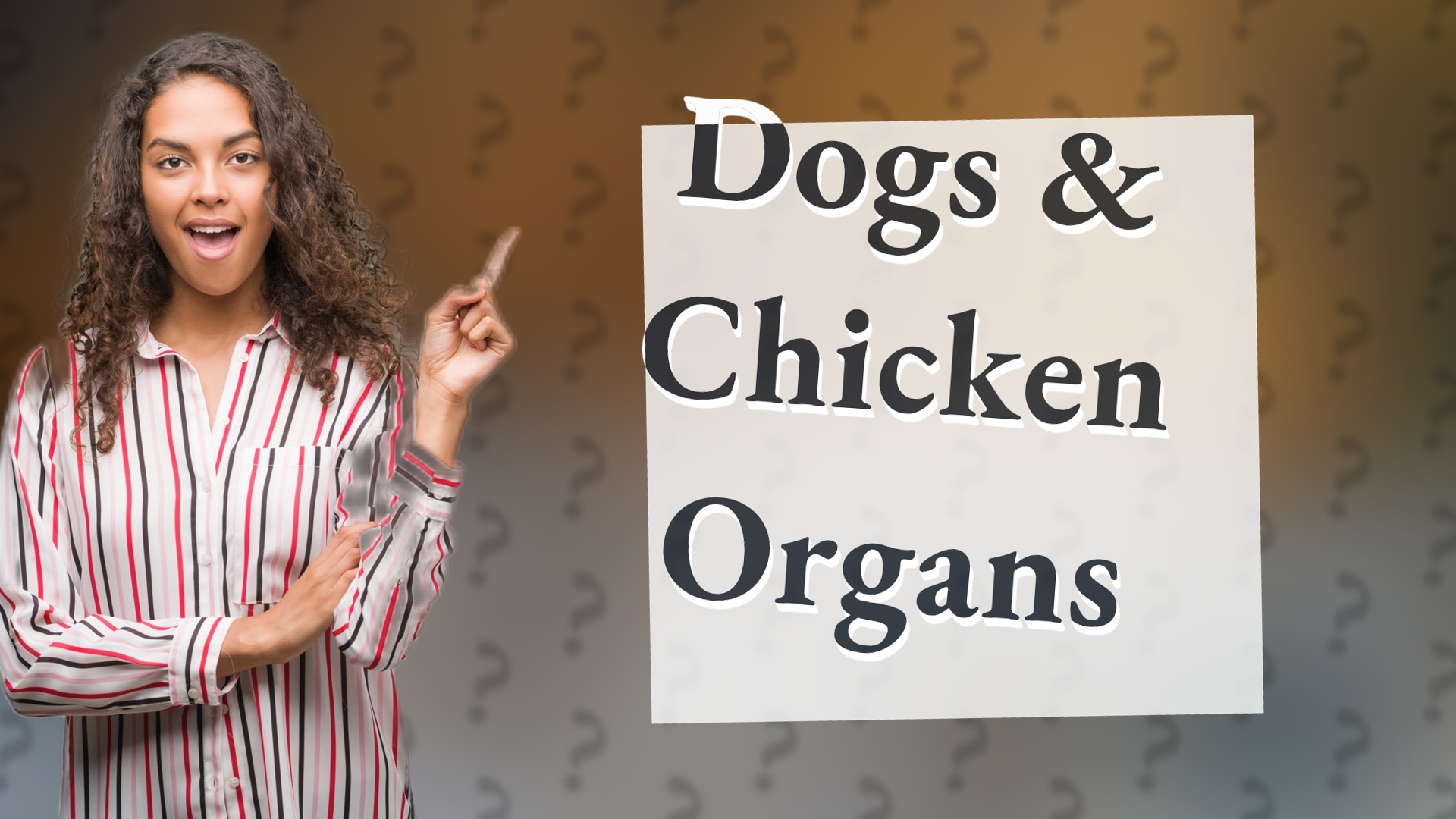 Dogs & Chicken Organs