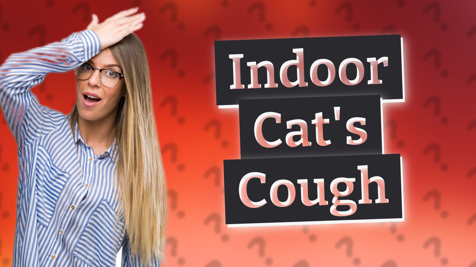 Indoor Cat's Cough