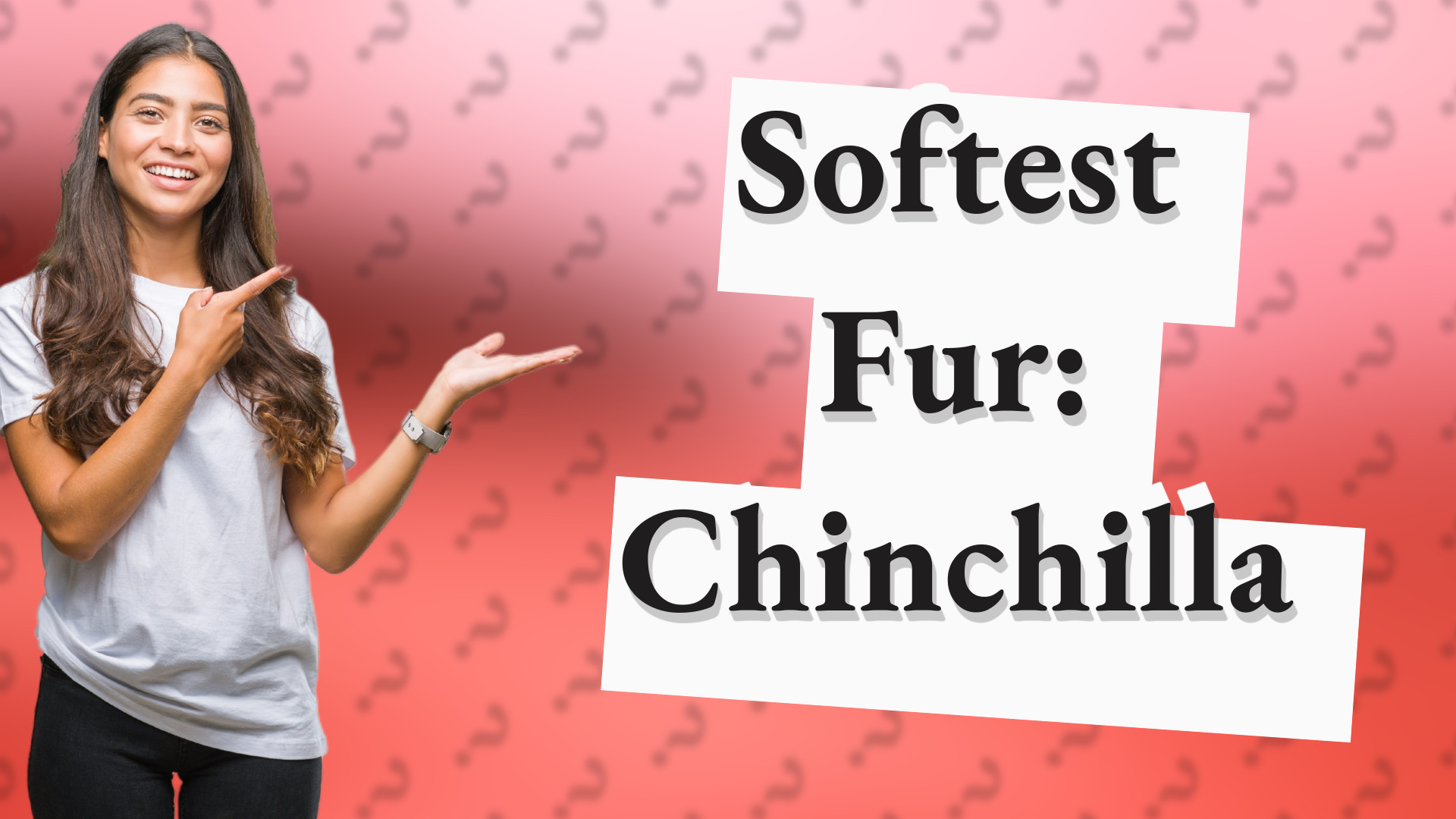 Softest Fur: Chinchilla