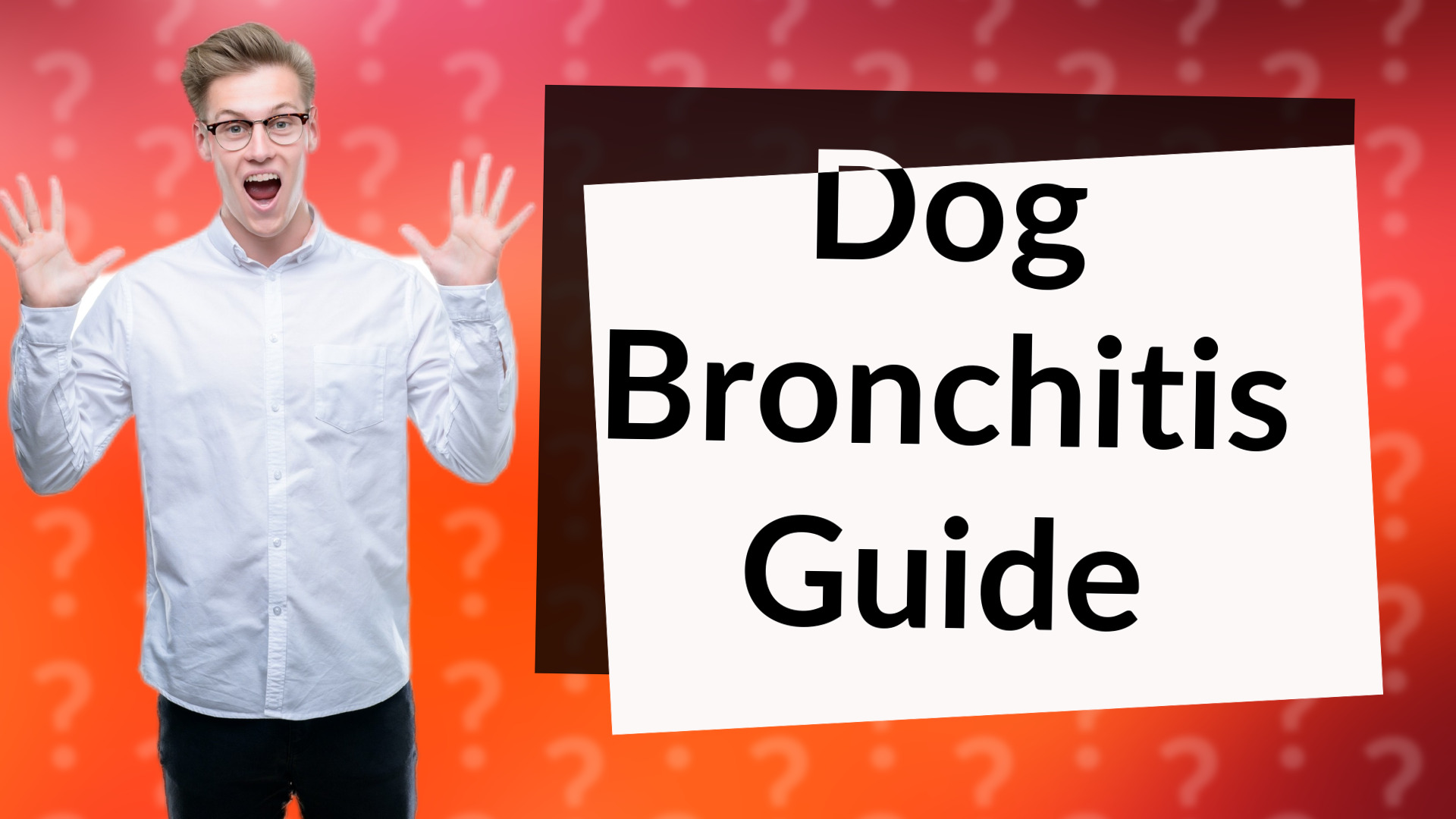 Dog Bronchitis Guide