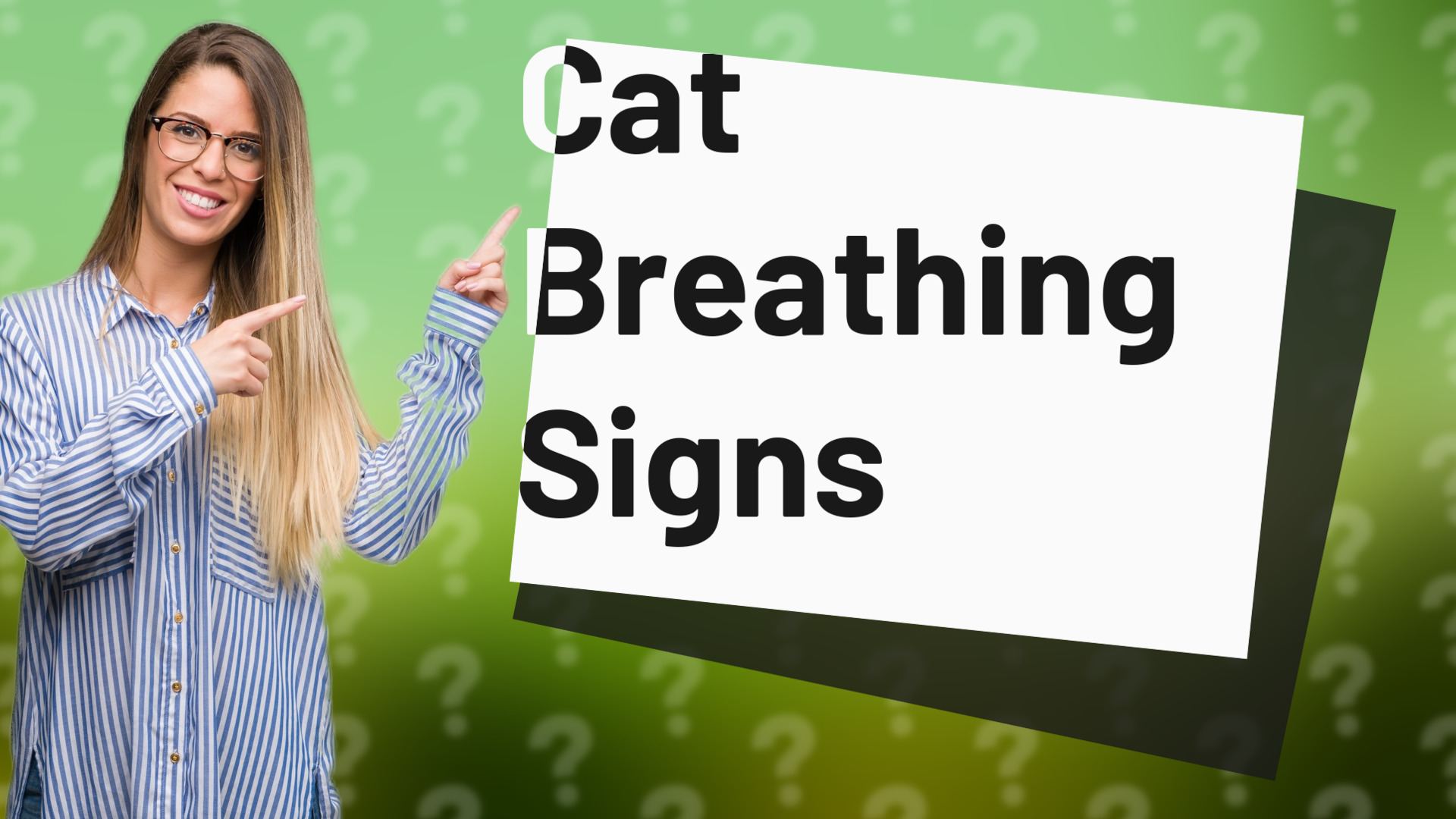 Cat Breathing Signs