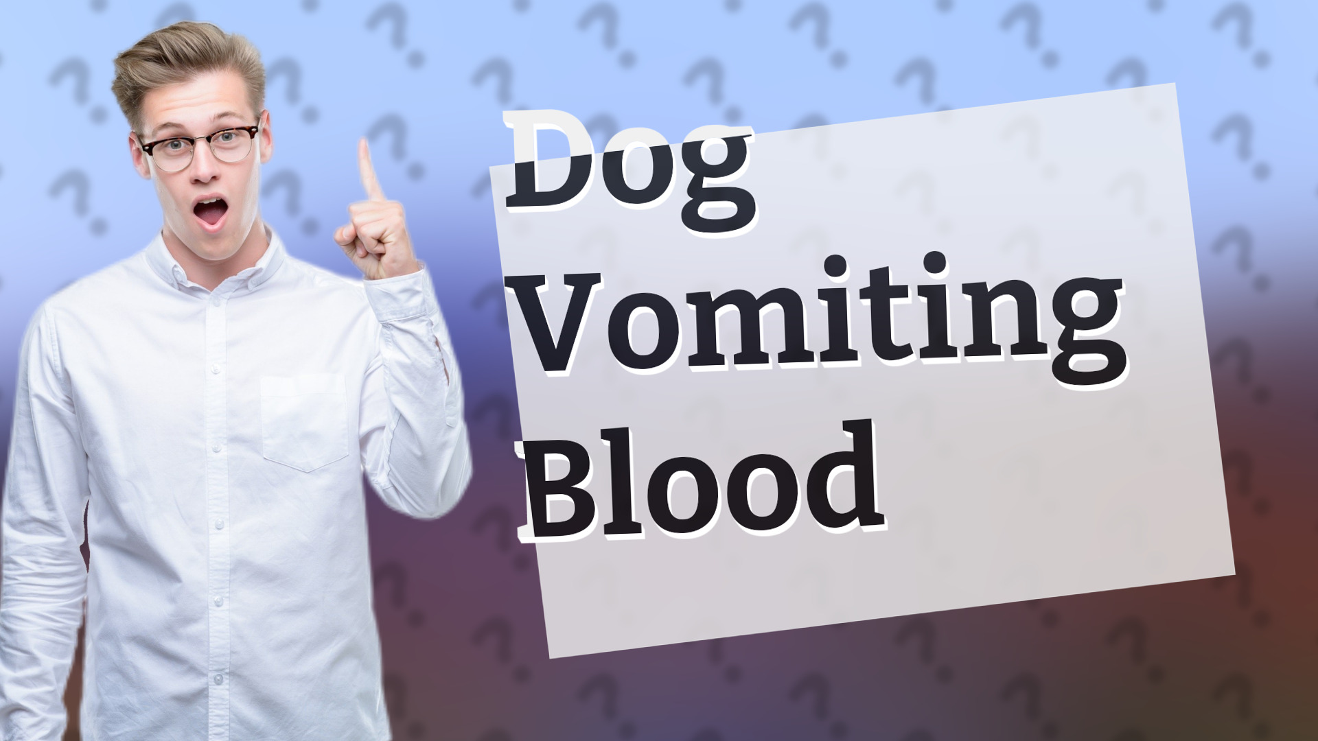 Dog Vomiting Blood
