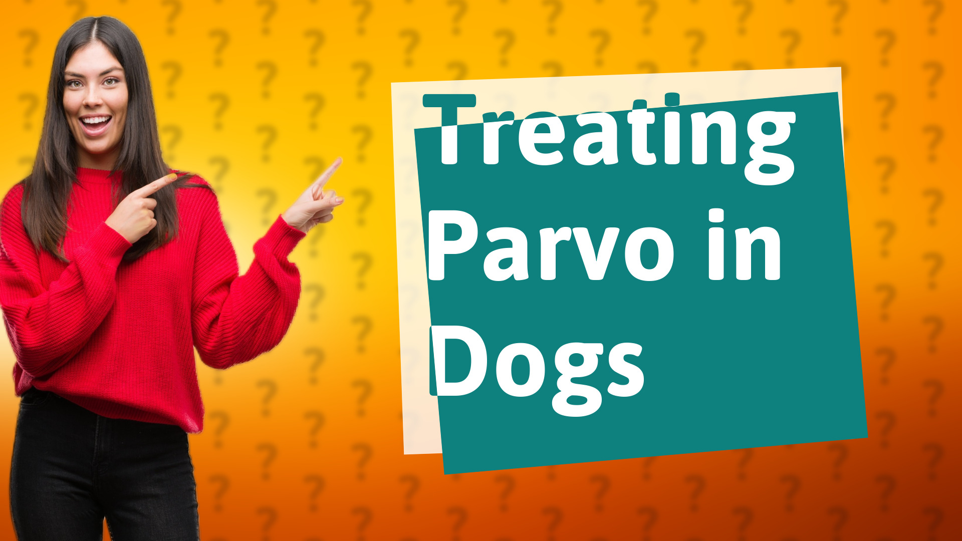 Treating Parvo in Dogs