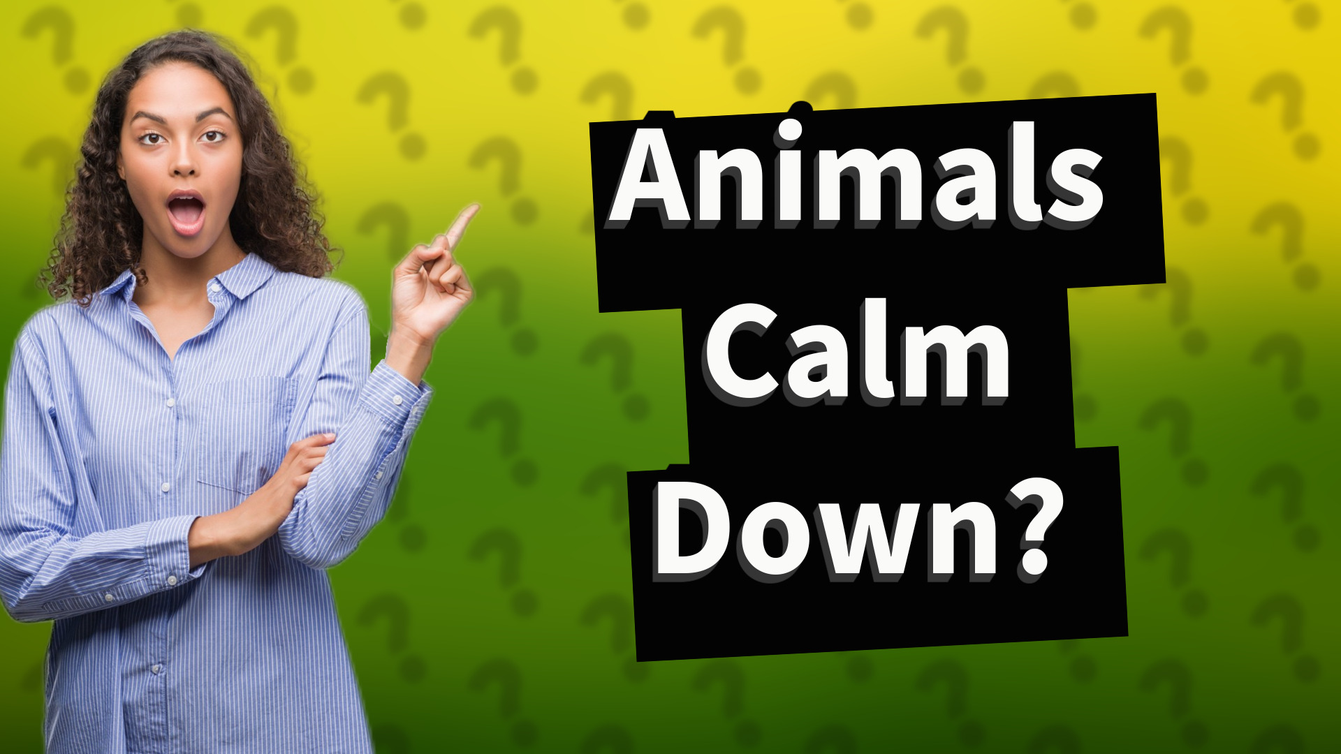 Animals Calm Down?