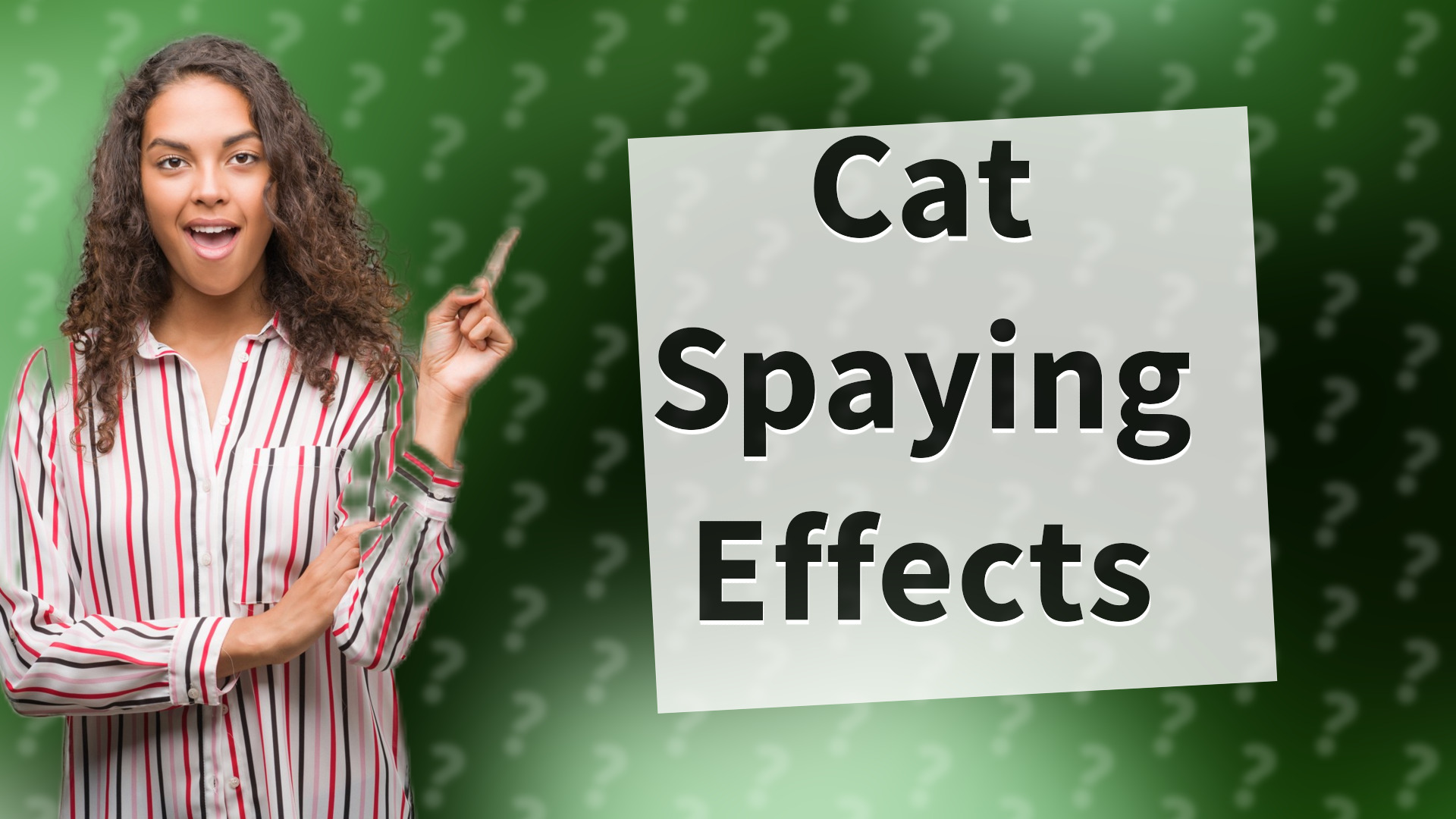 Cat Spaying Effects