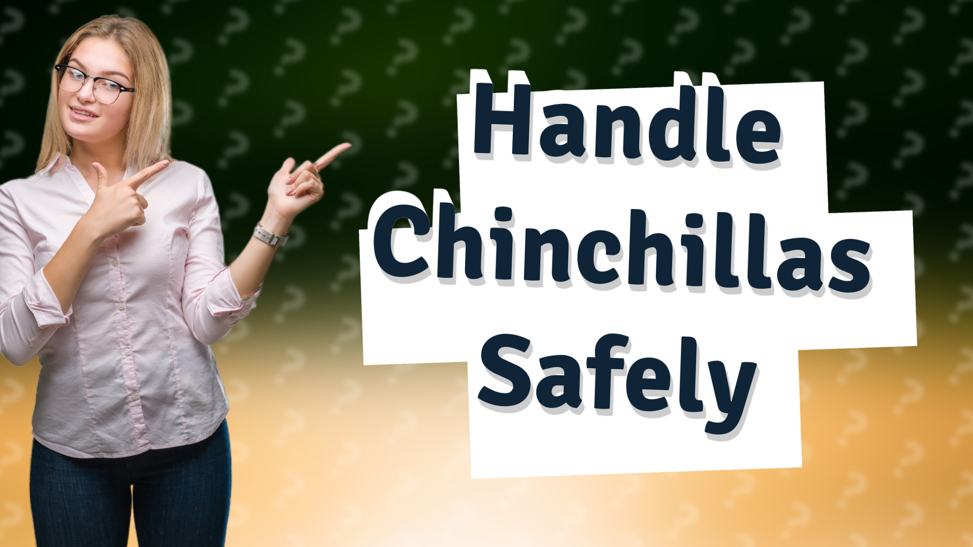 Handle Chinchillas Safely
