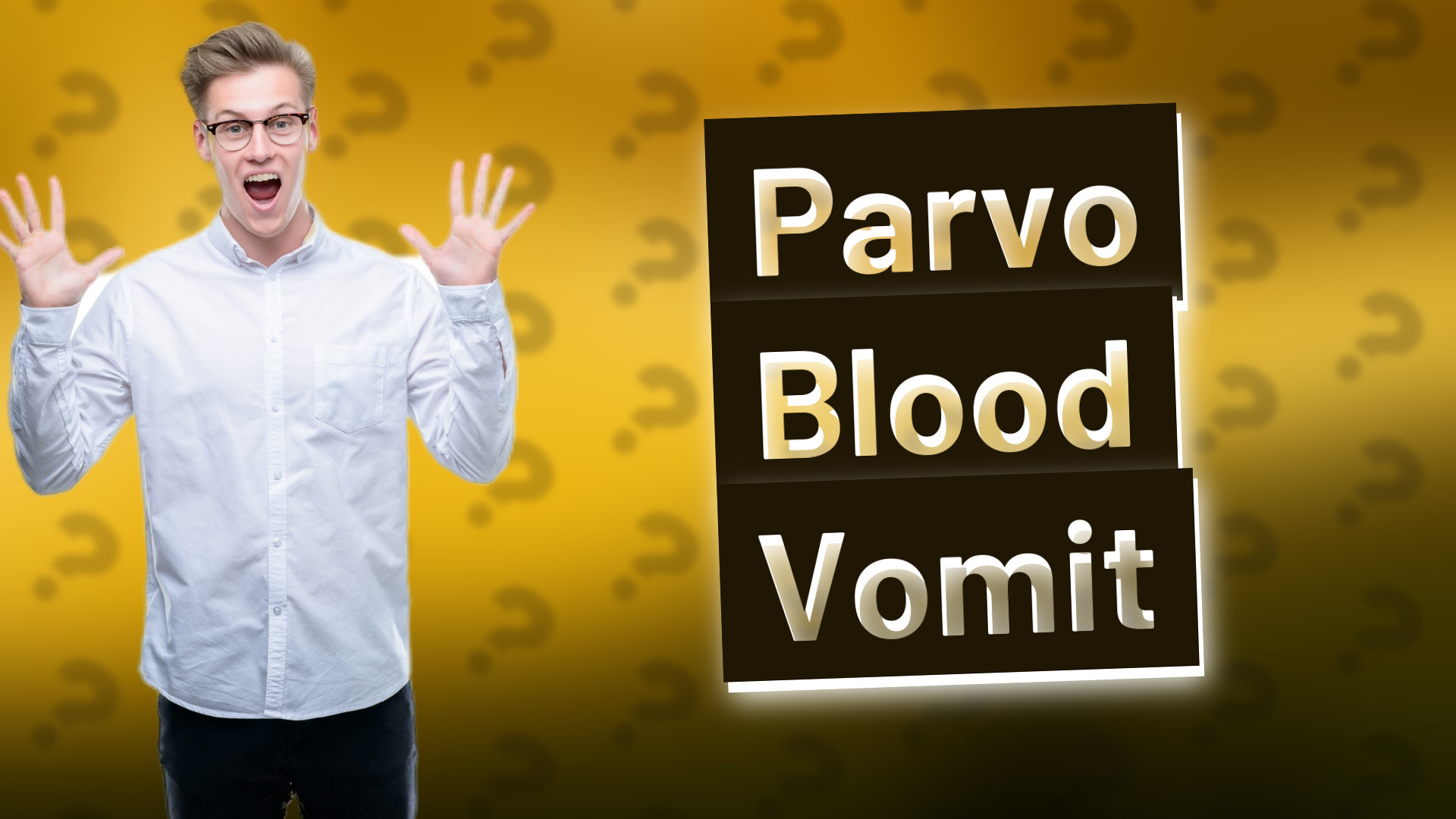 Parvo Blood Vomit