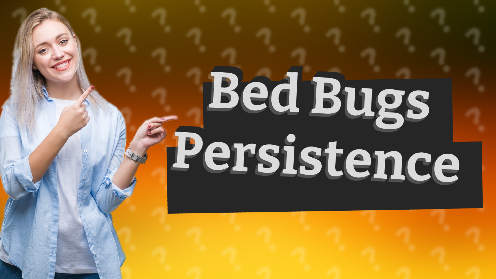 Bed Bugs Persistence