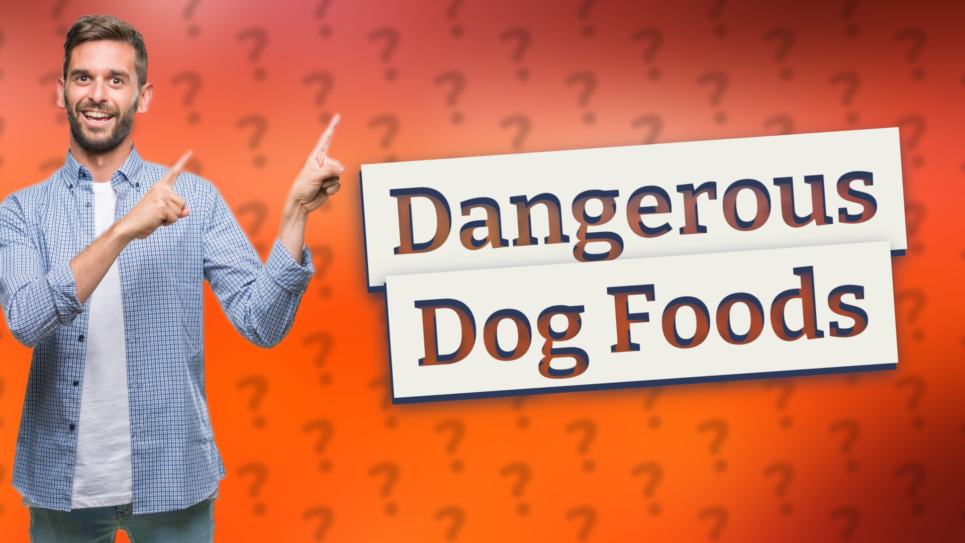 Dangerous Dog Foods