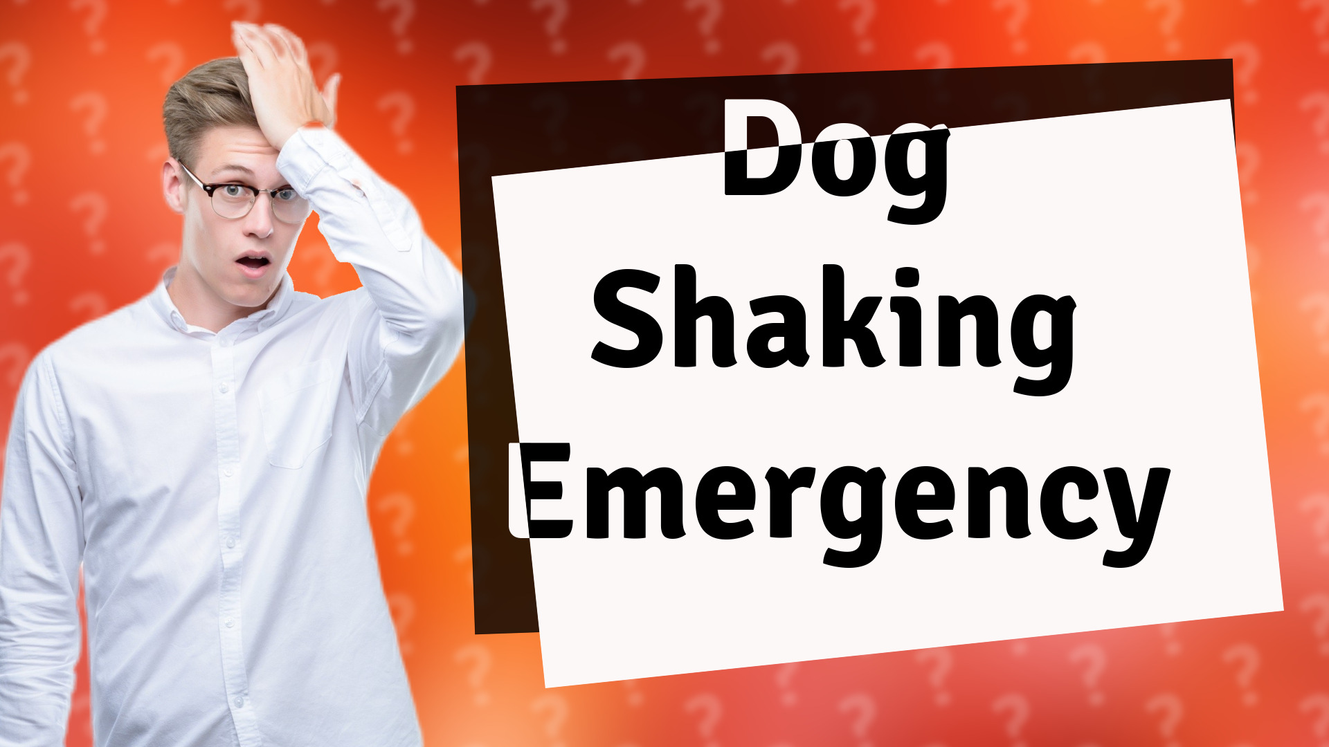 Dog Shaking Emergency