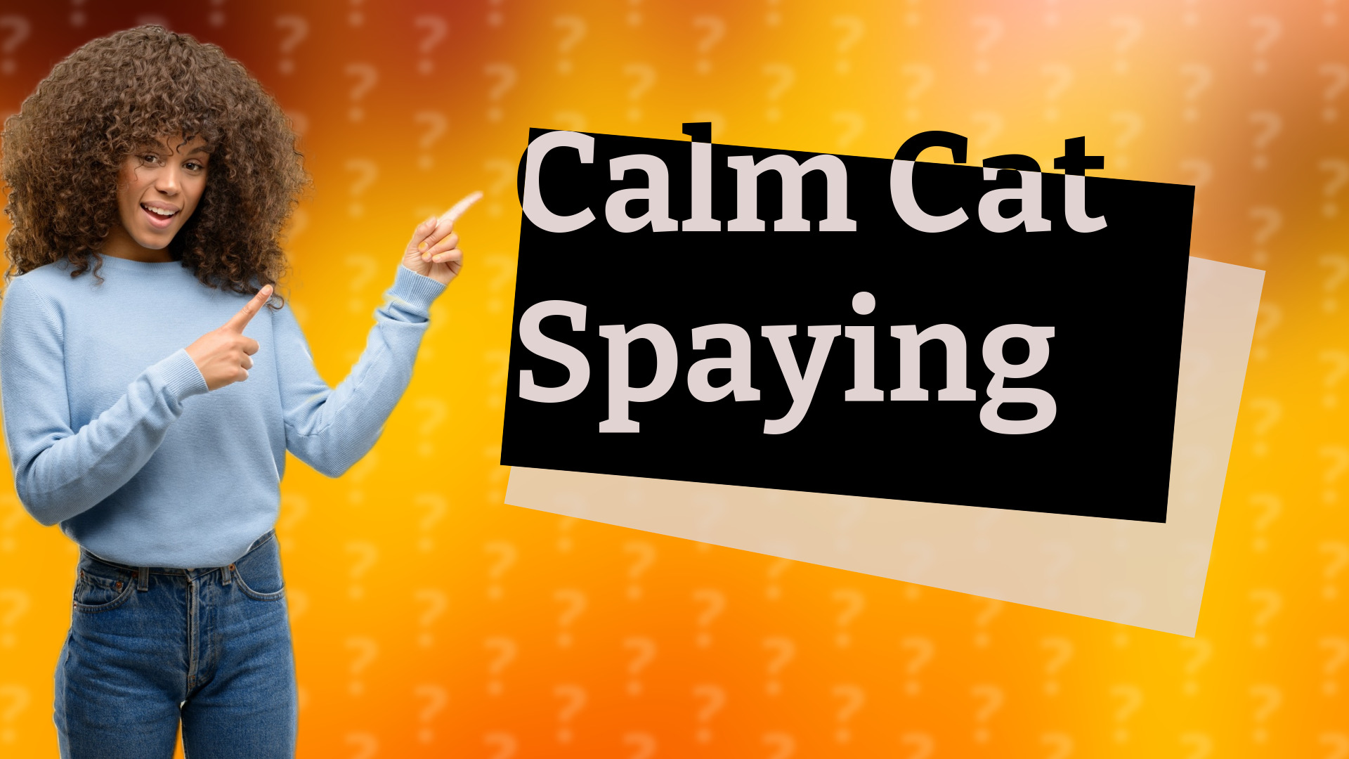 Calm Cat Spaying