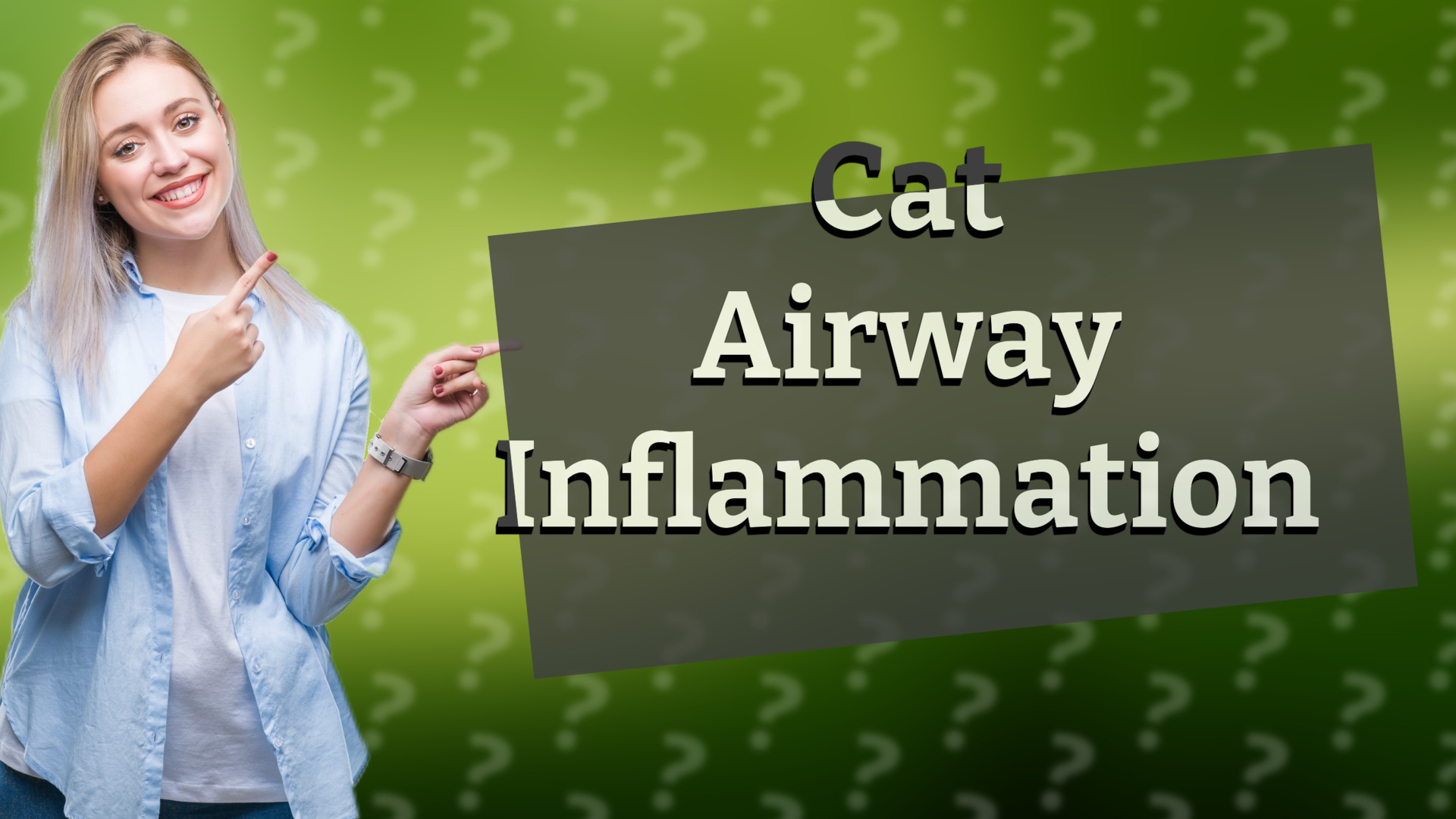 Cat Airway Inflammation