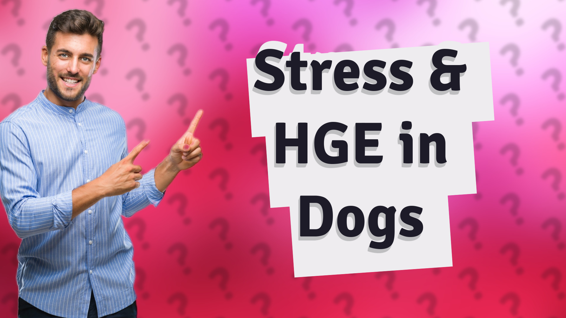 Stress & HGE in Dogs