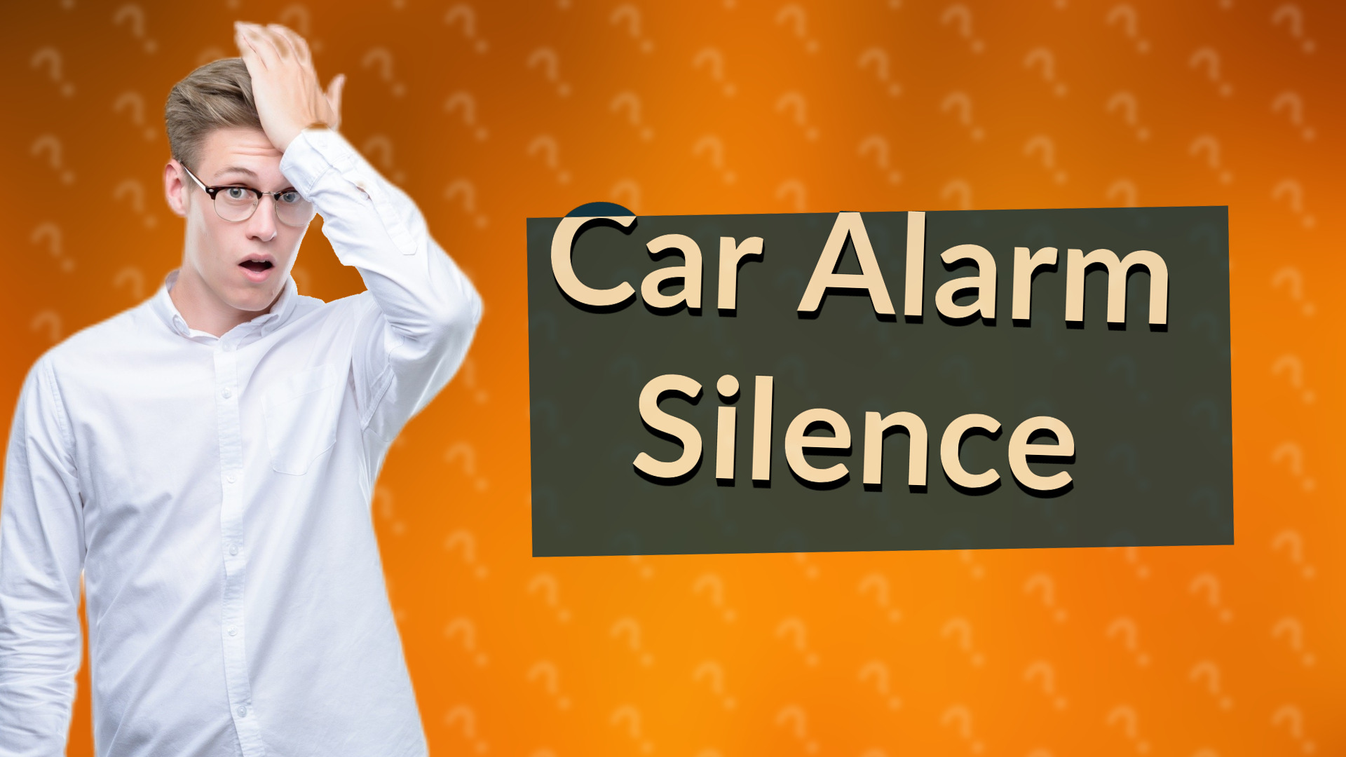 Car Alarm Silence