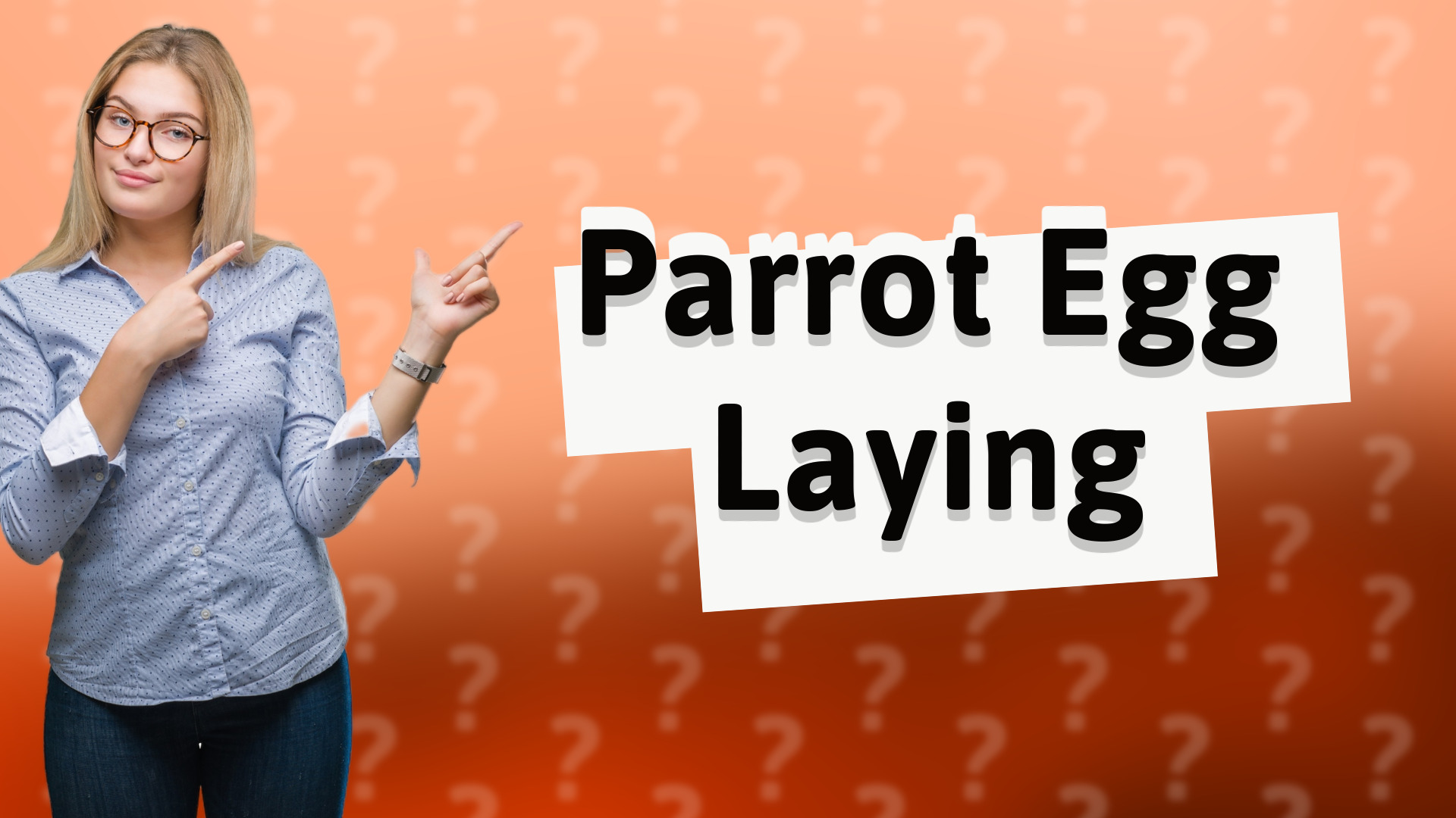 Parrot Egg Laying