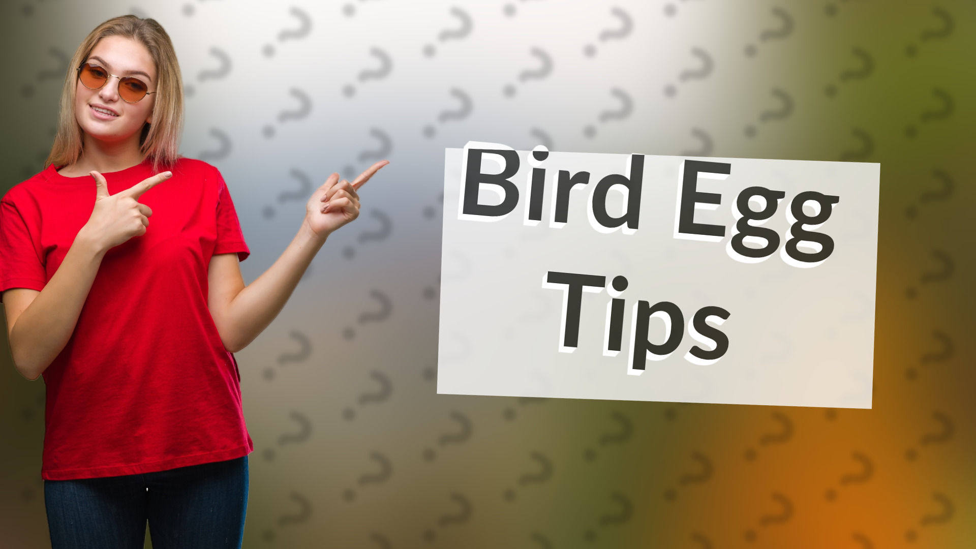 Bird Egg Tips