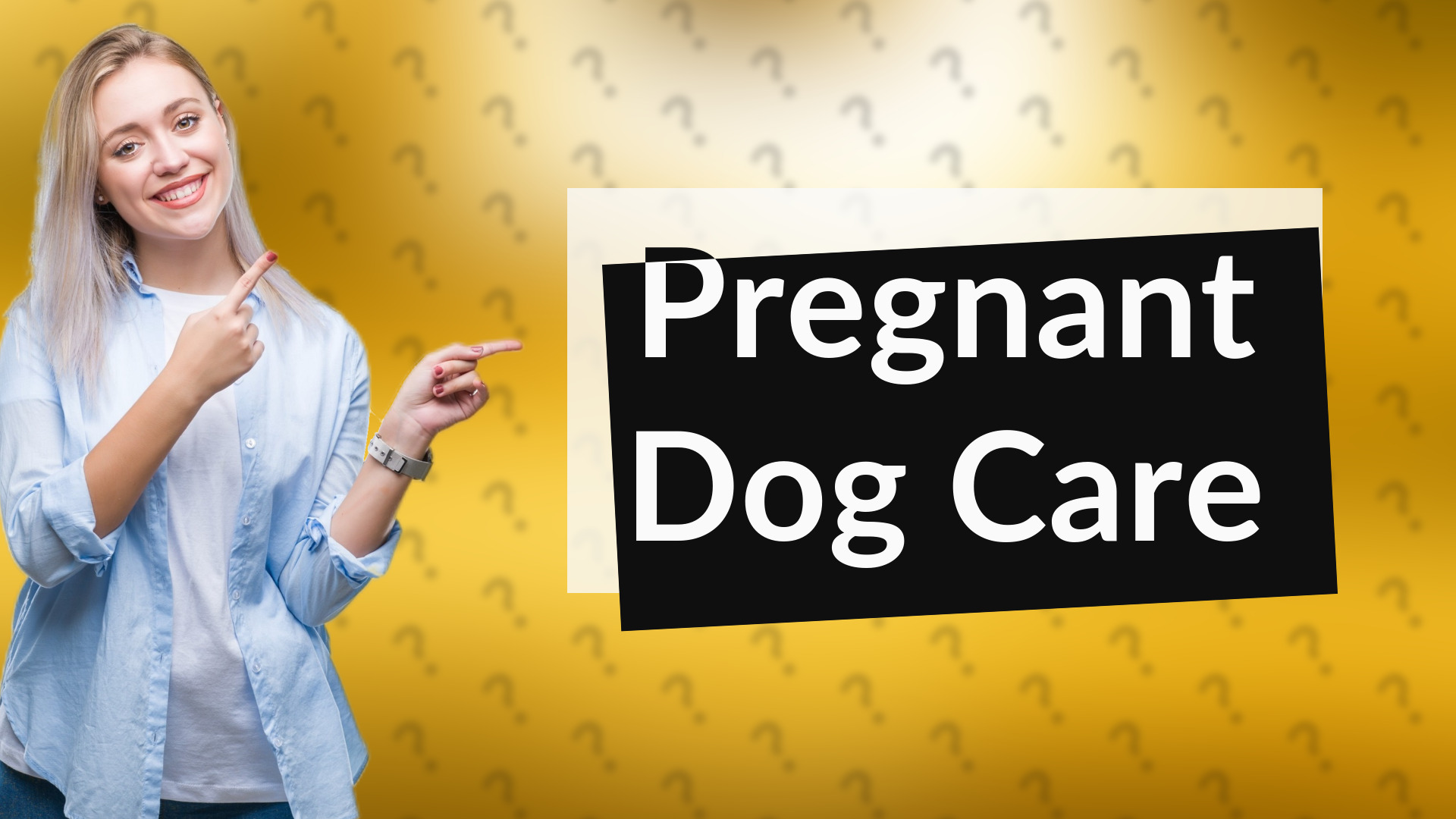 Pregnant Dog Care