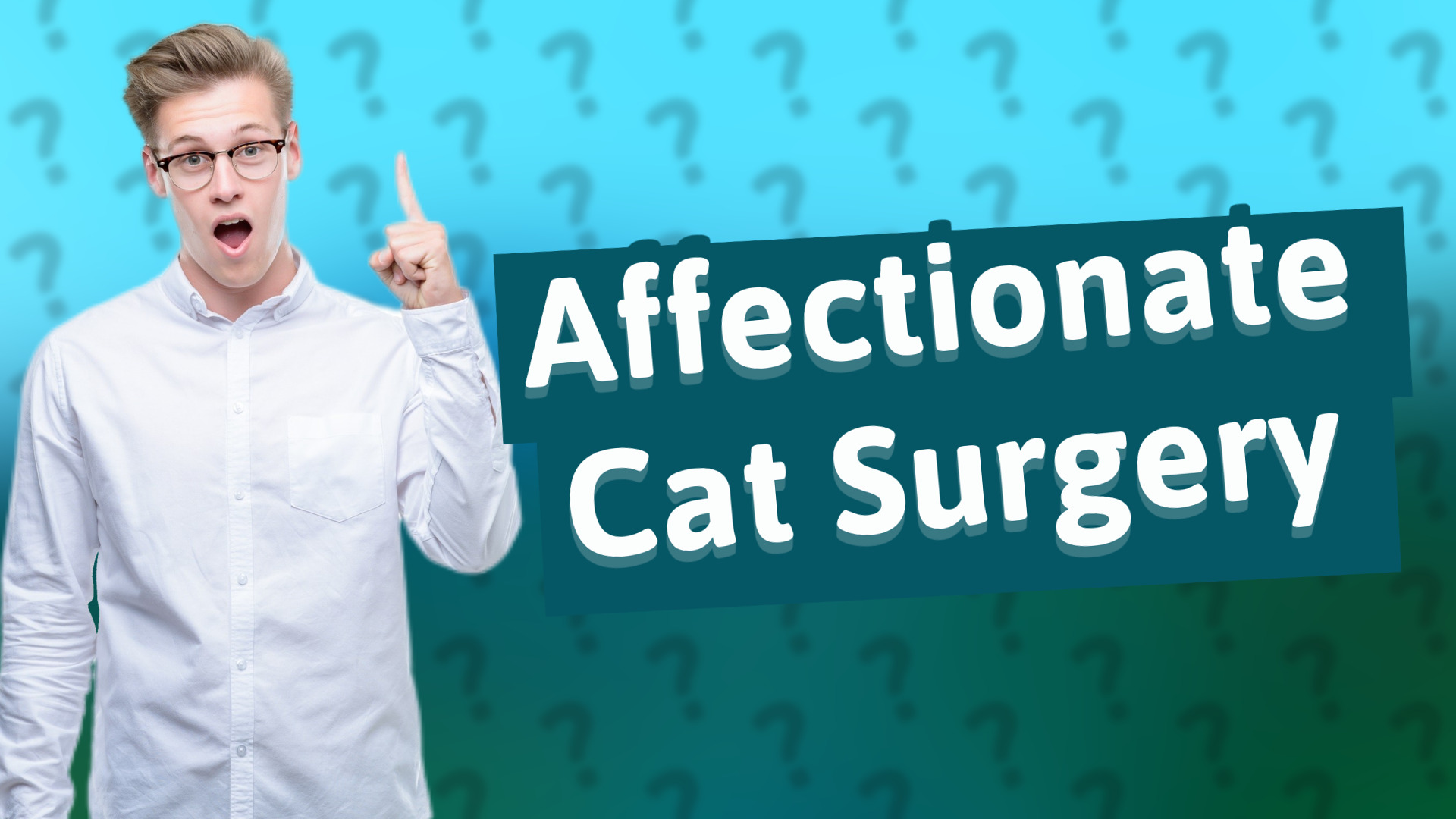 Affectionate Cat Surgery