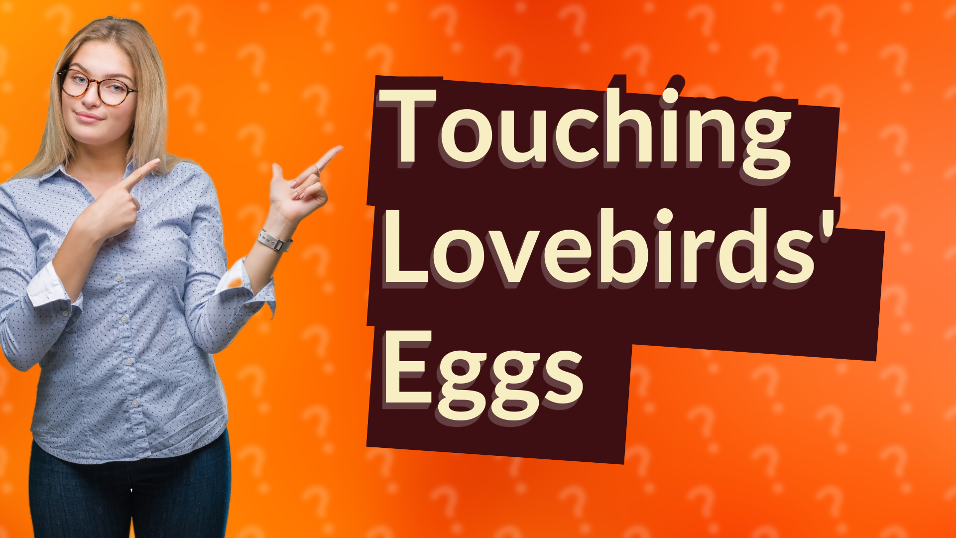 Touching Lovebirds' Eggs