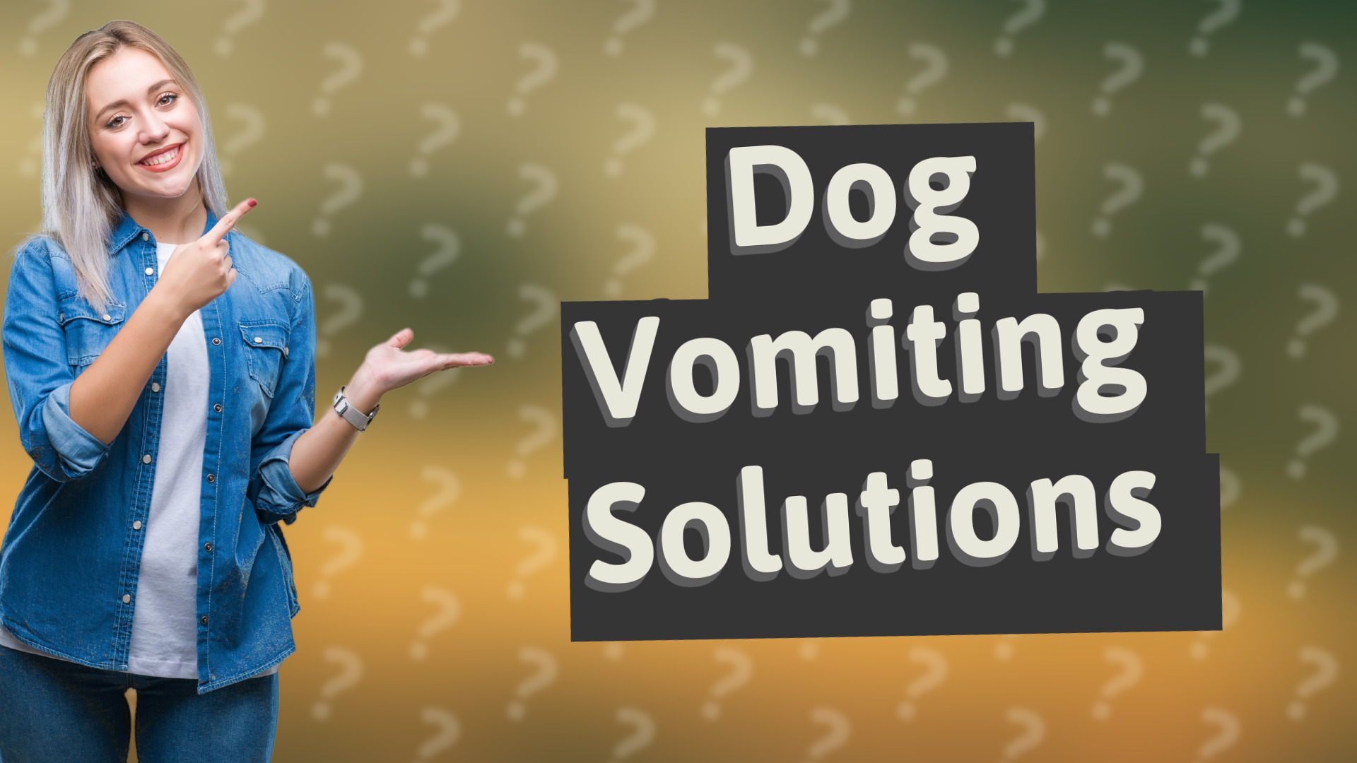 Dog Vomiting Solutions