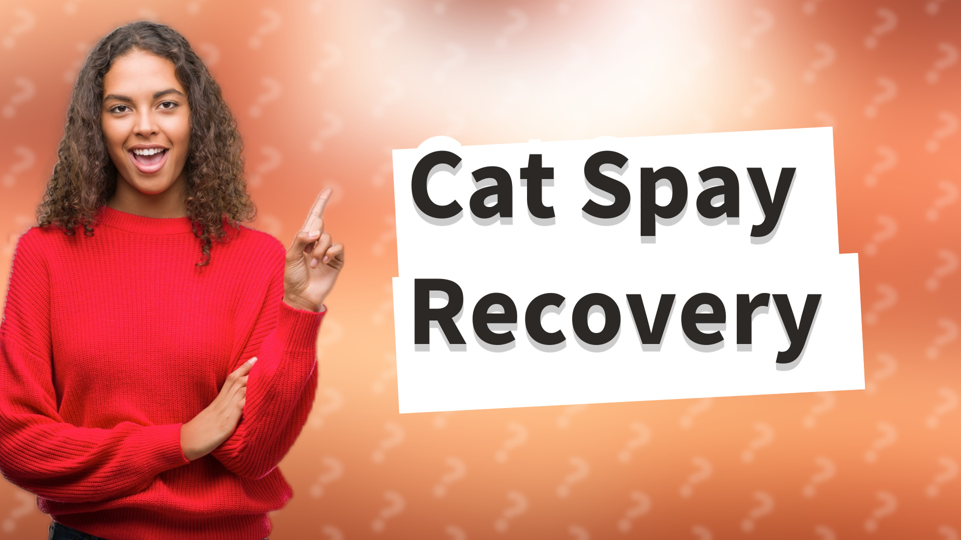 Cat Spay Recovery