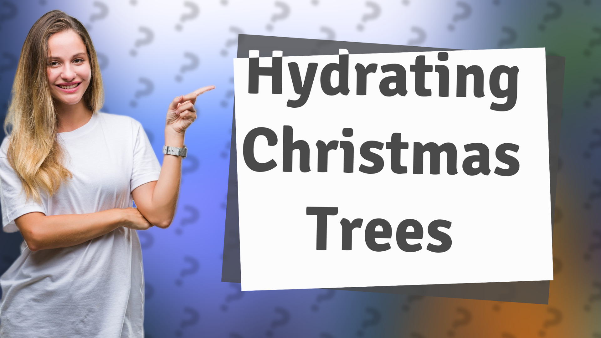 Hydrating Christmas Trees