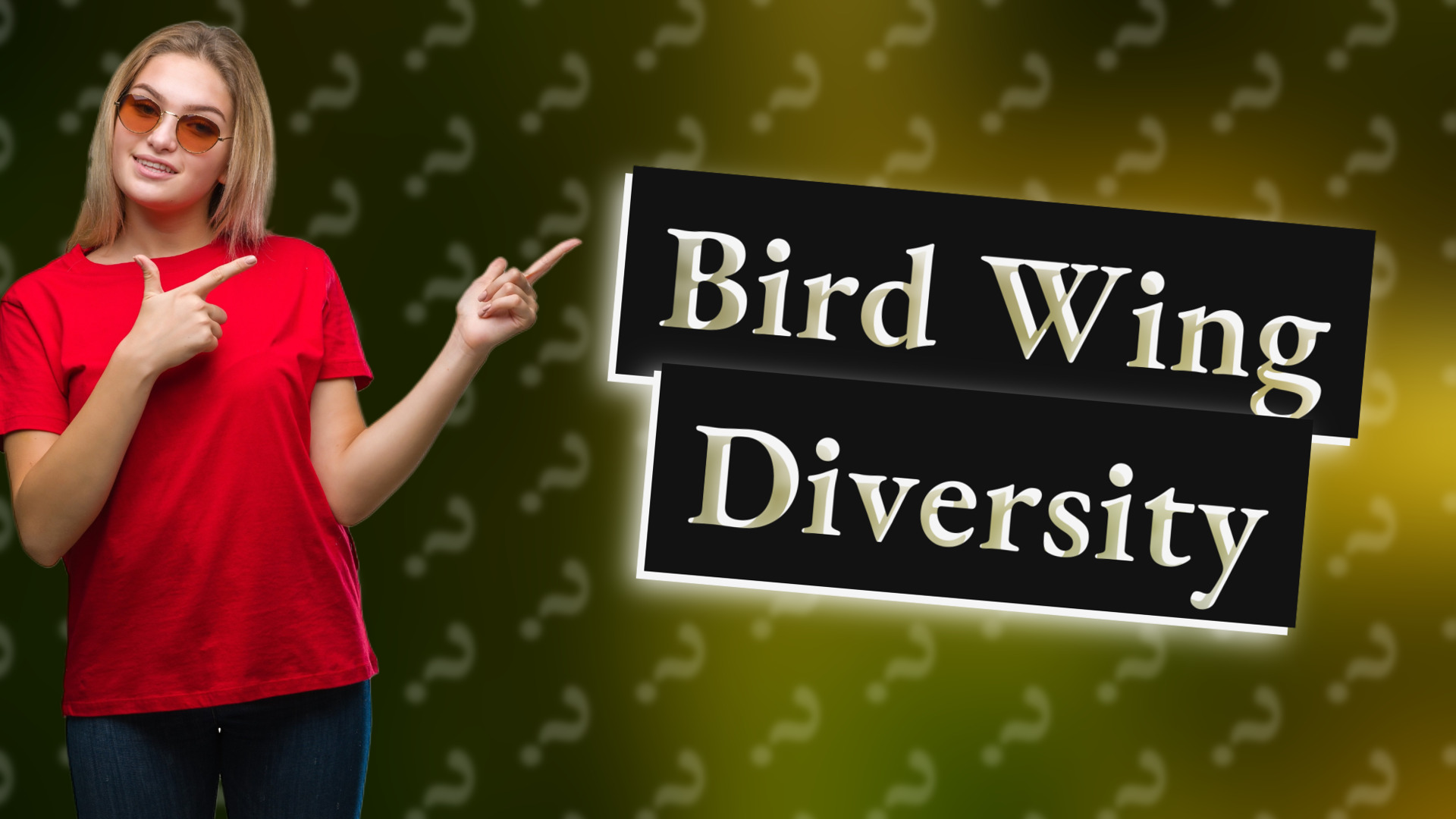 Bird Wing Diversity
