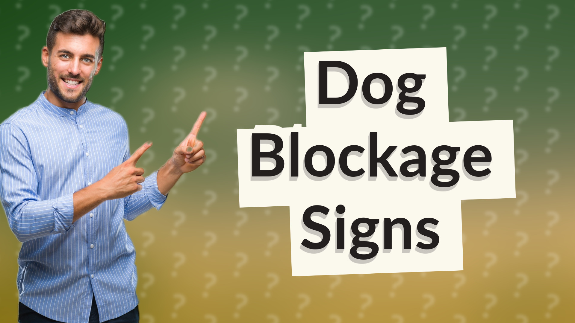 Dog Blockage Signs