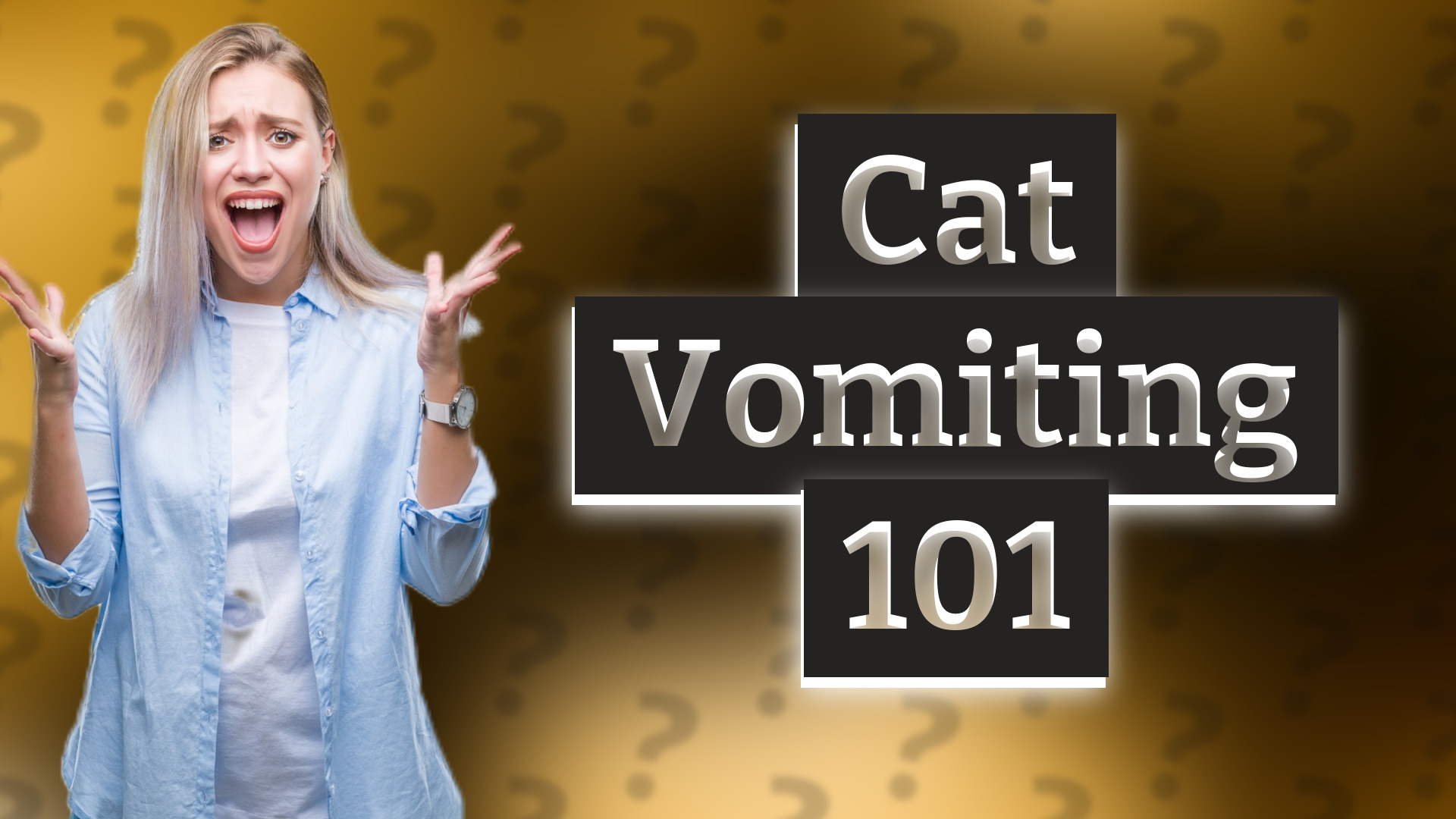 Cat Vomiting 101
