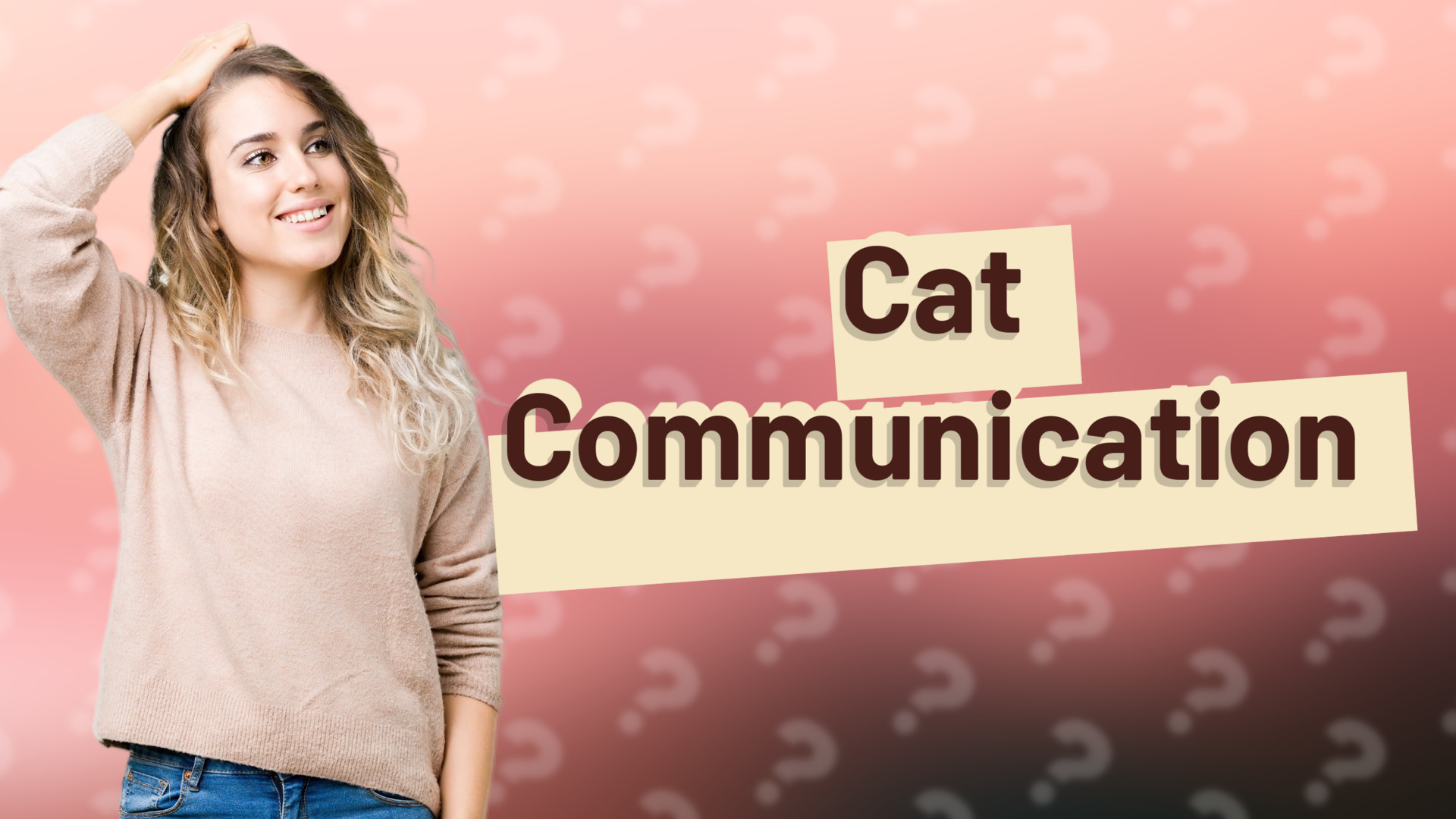 Cat Communication