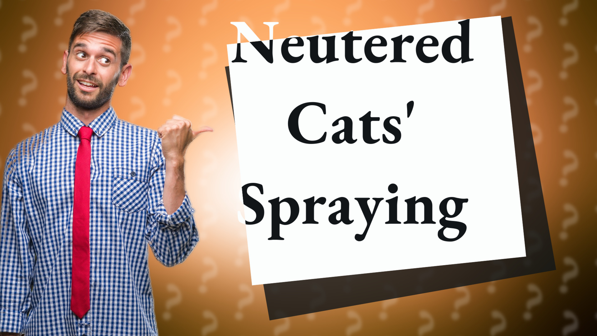 Neutered Cats' Spraying