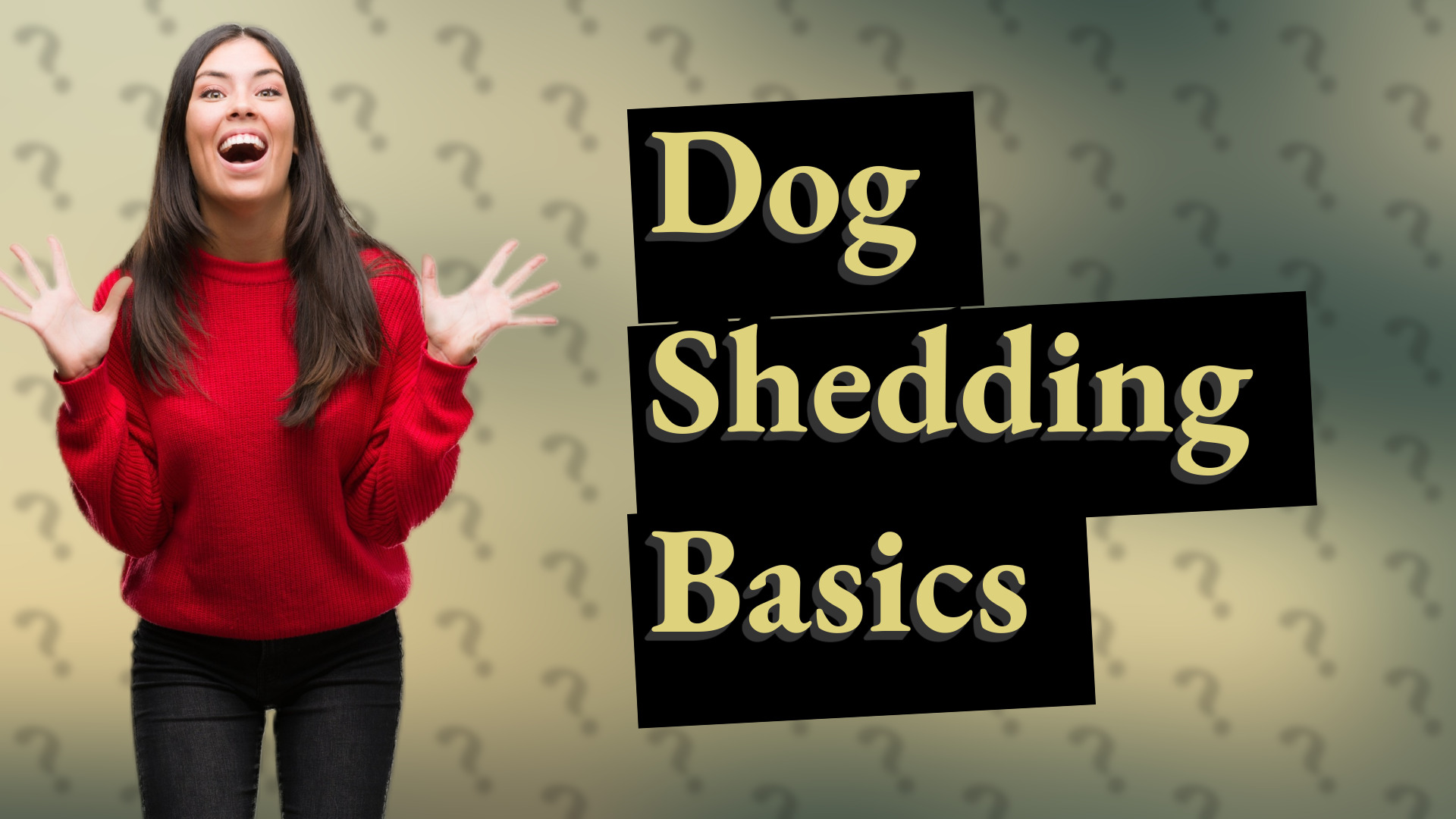 Dog Shedding Basics