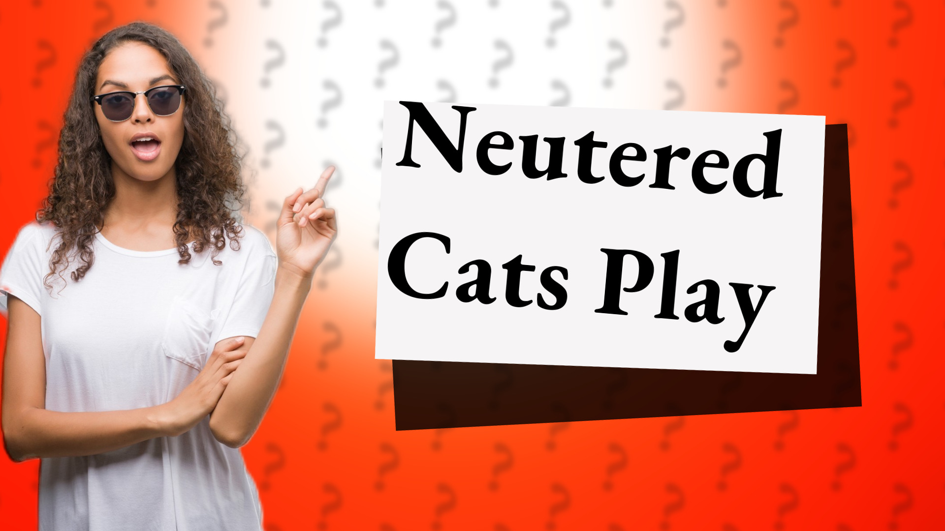 Neutered Cats Play
