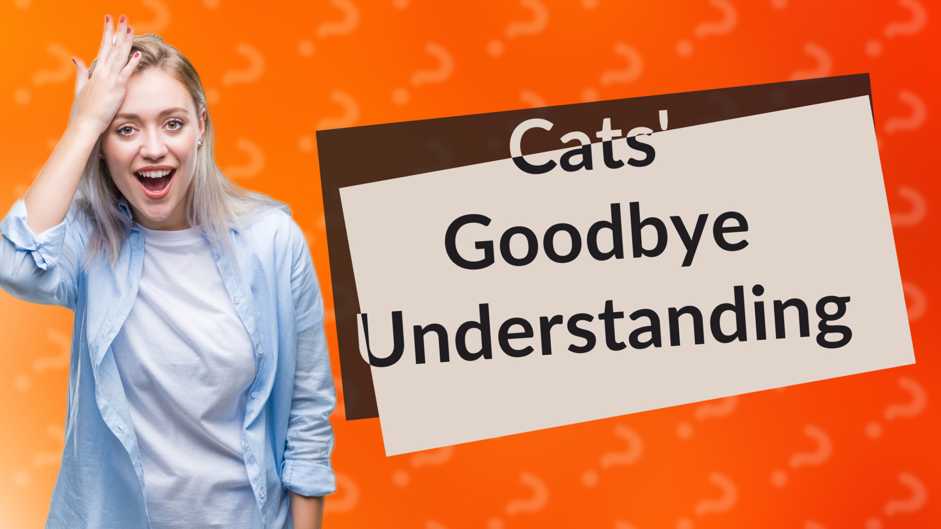 Cats' Goodbye Understanding